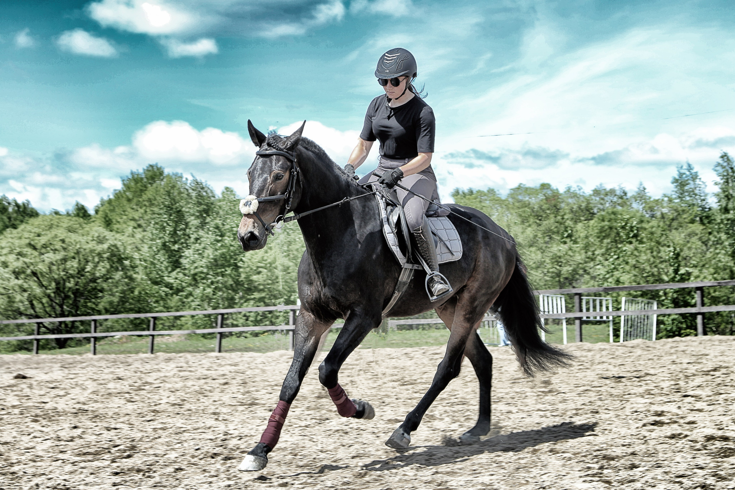 Лошади «Каскад» и «Брилиант». Алиса Томшина — Фотограф / Видеограф