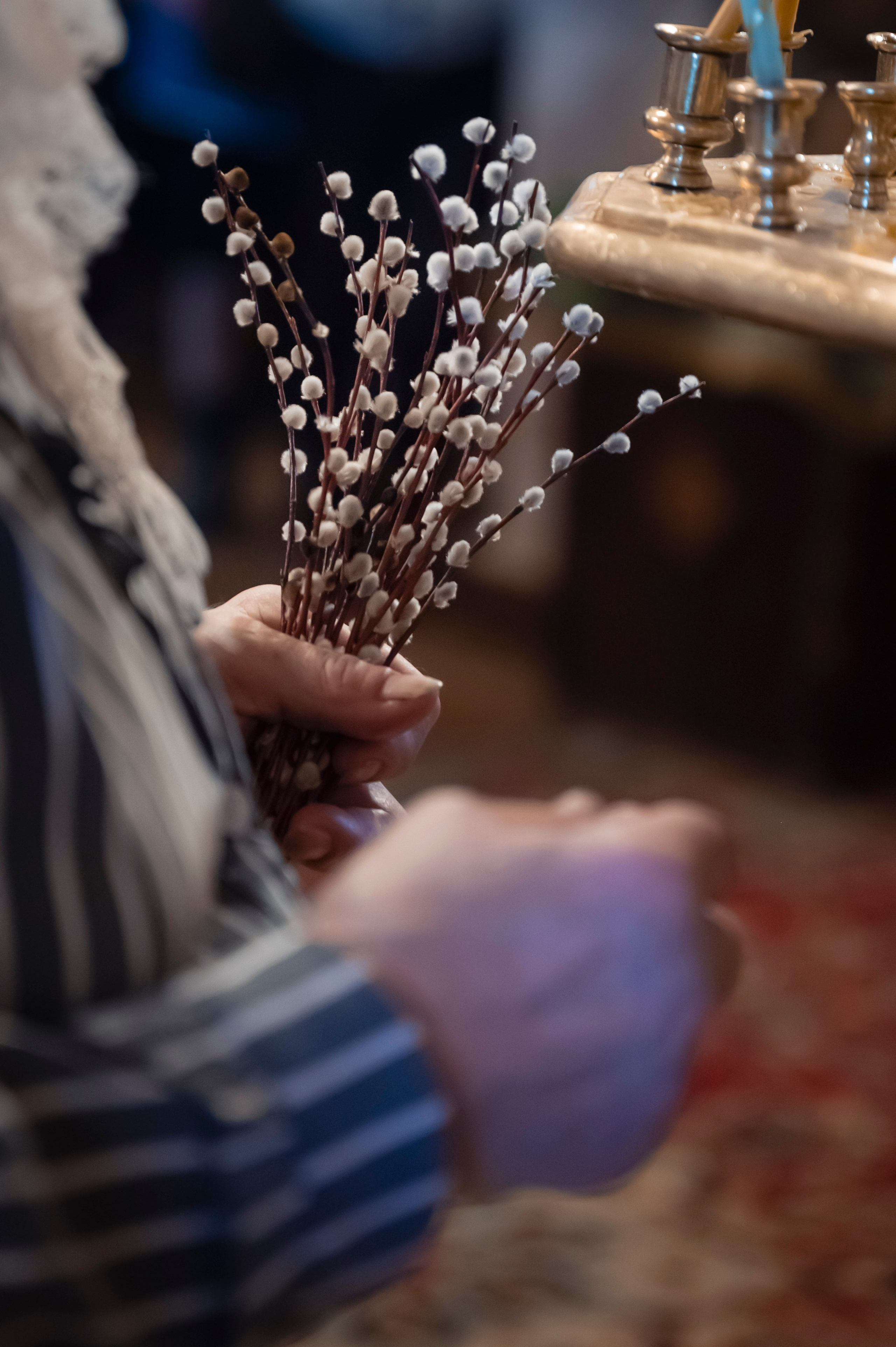 Богородский Храм. Всенощное бдение. Освящение верб. Антон и Татьяна Денисенко — В храме