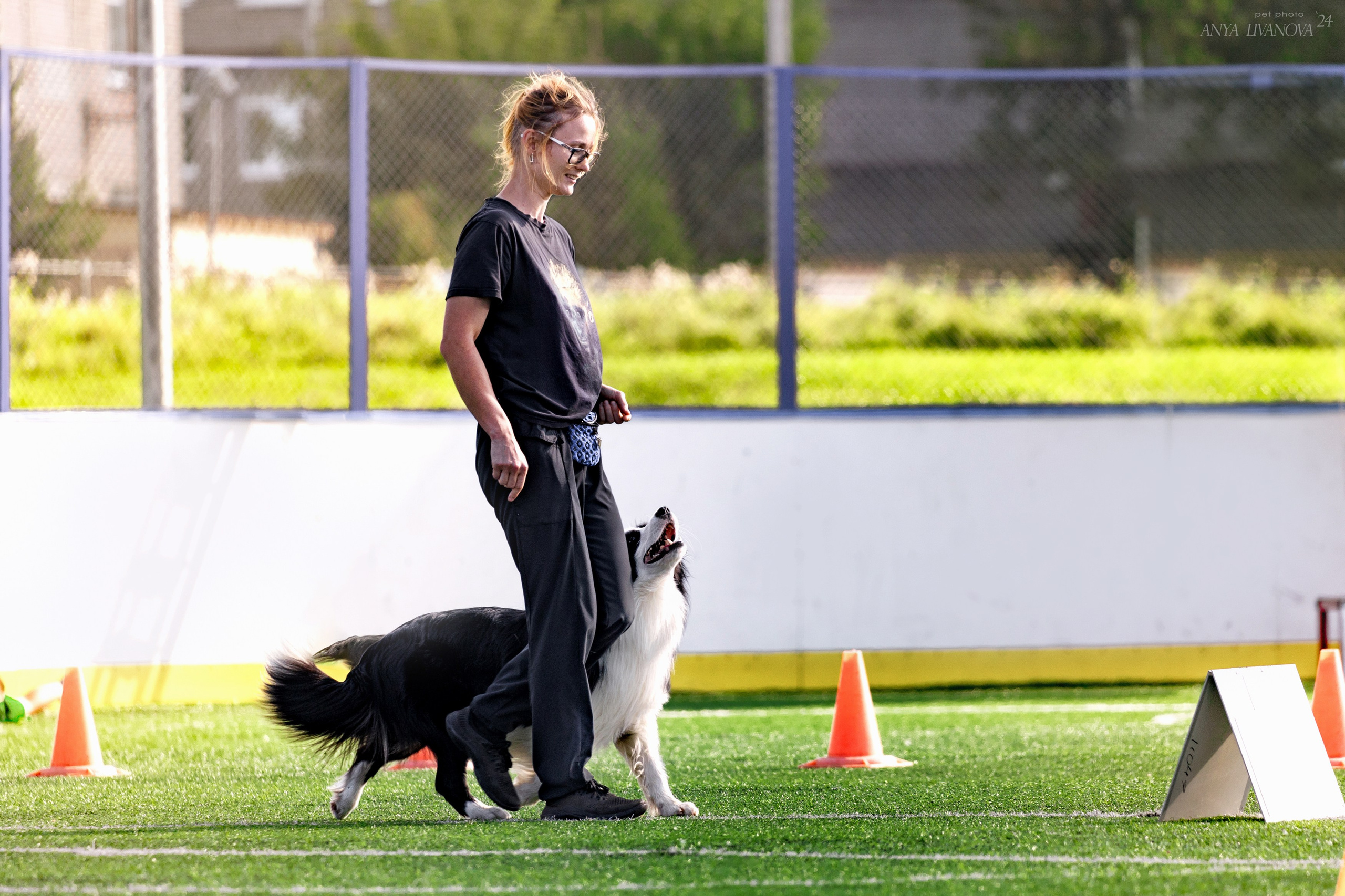 Ралли обидиенс. Фотограф анималист Аня Ливанова | Рыбинск