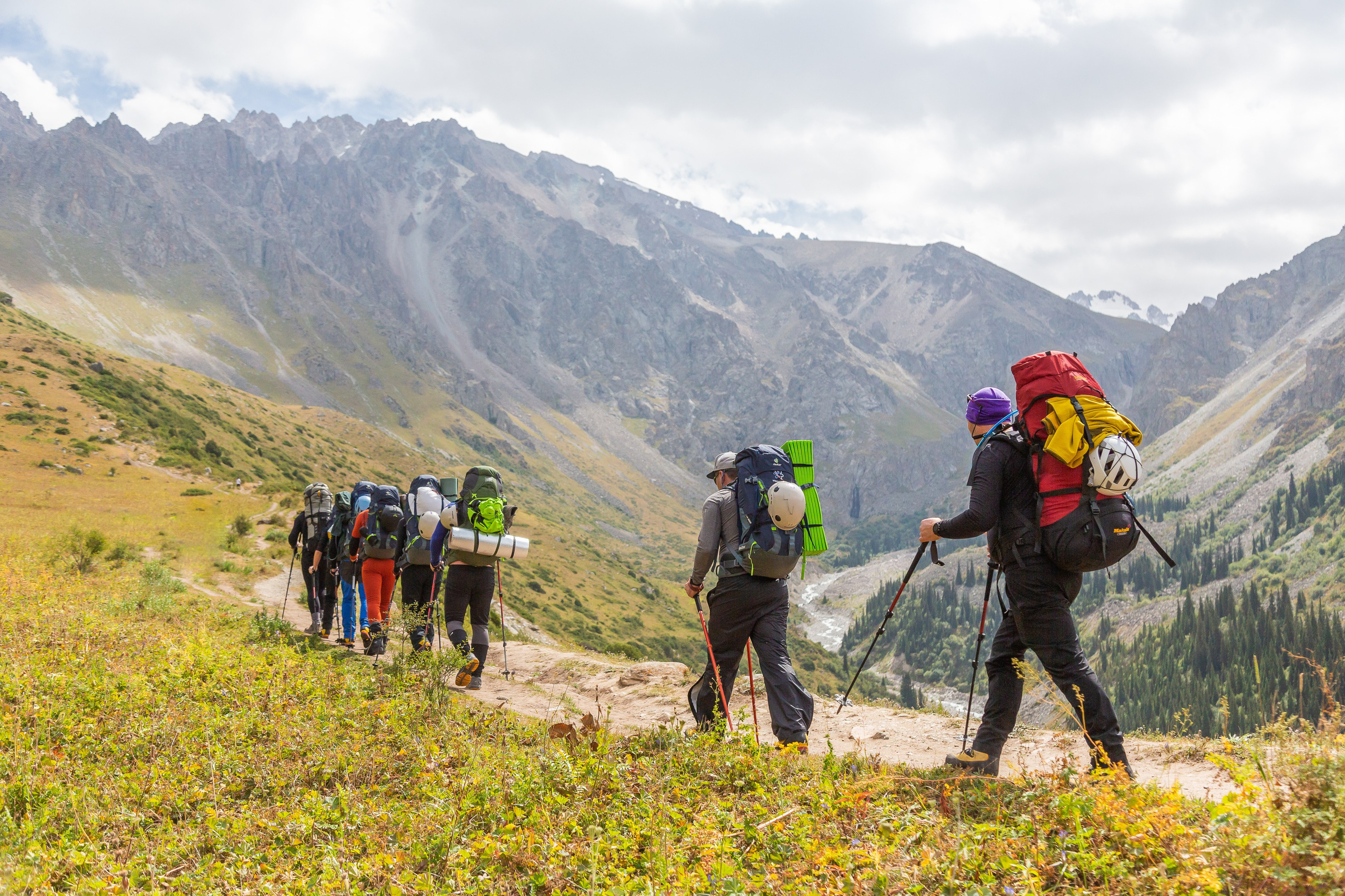 Путешествия