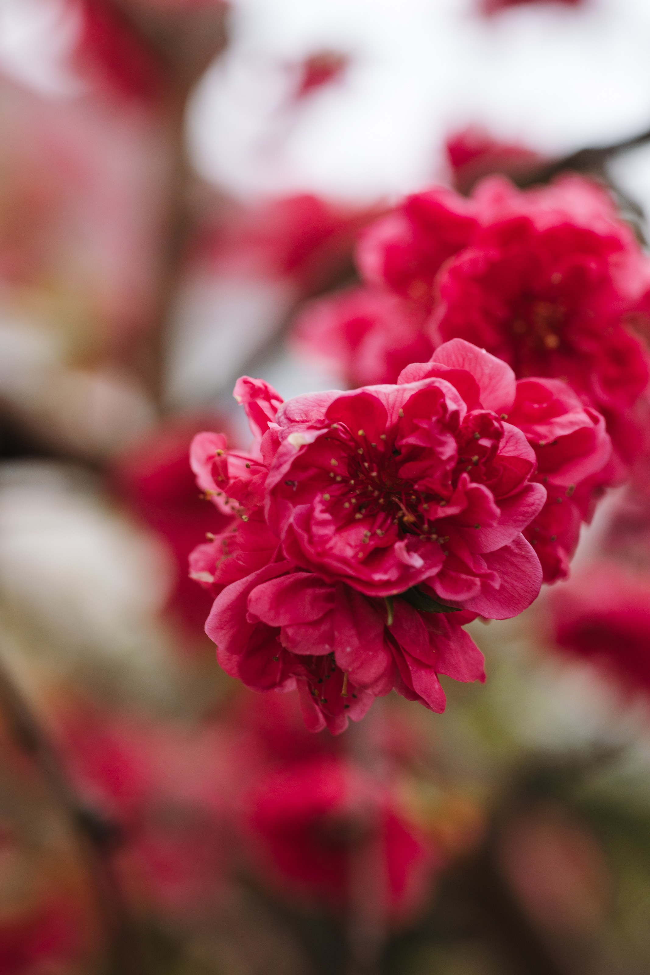 Macro. Фотограф на Юге России