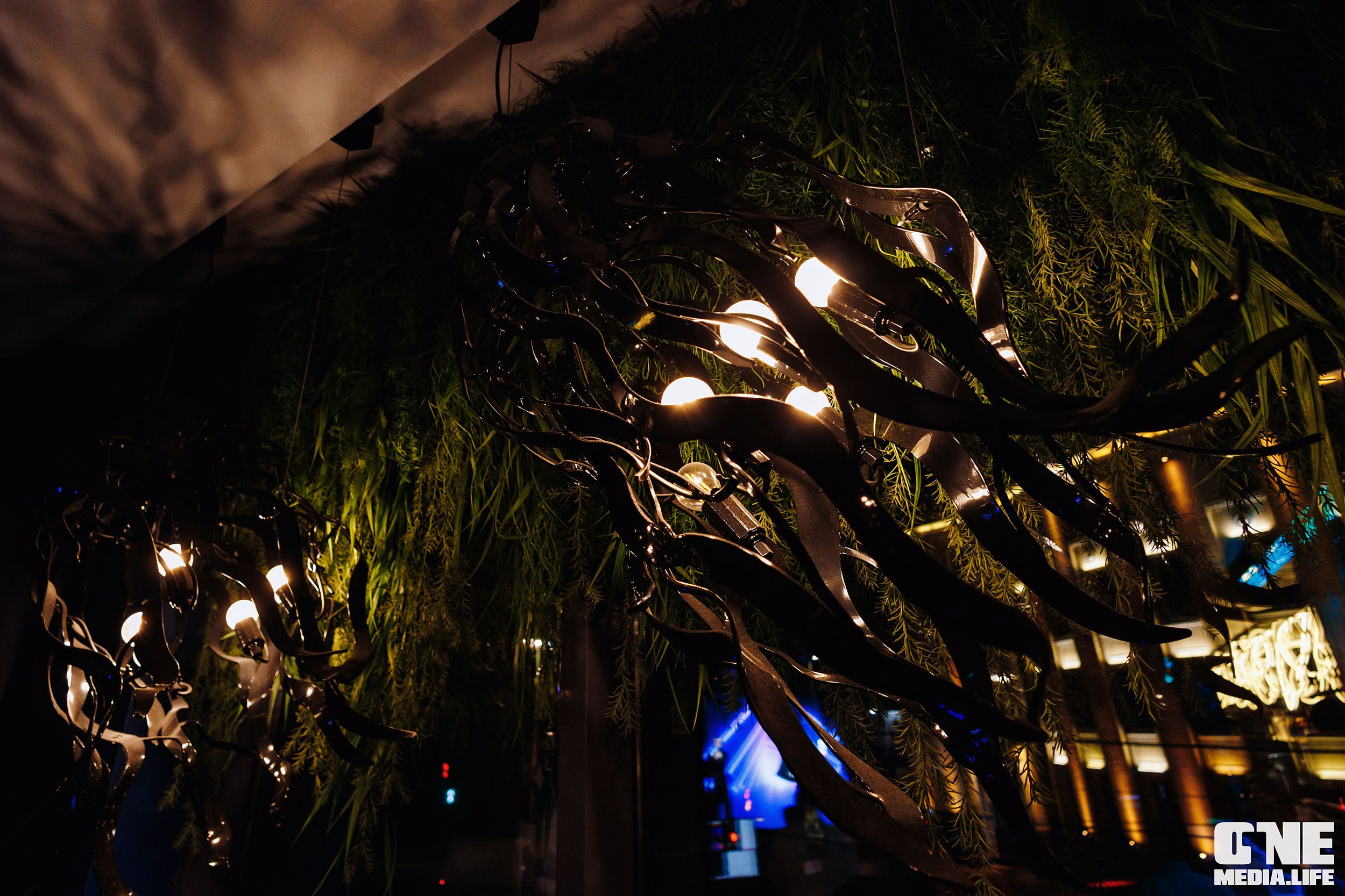 Фоторепортаж из ресторана Океан. One Media Life: фоторепортажи, фотоотчеты с мероприятий и заведений