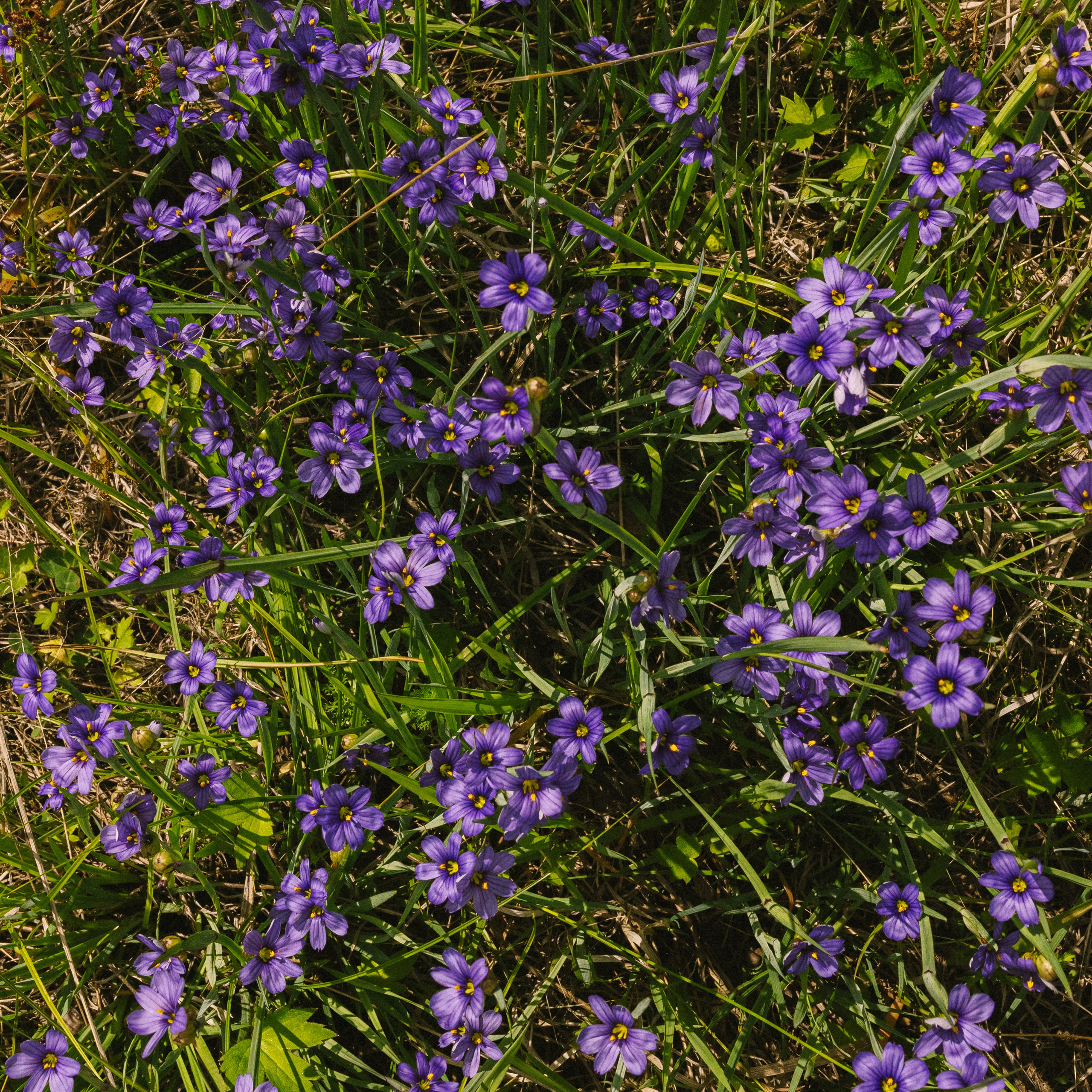Коля & Катя. Фотограф из Хабаровска Юлия Черёмушкина