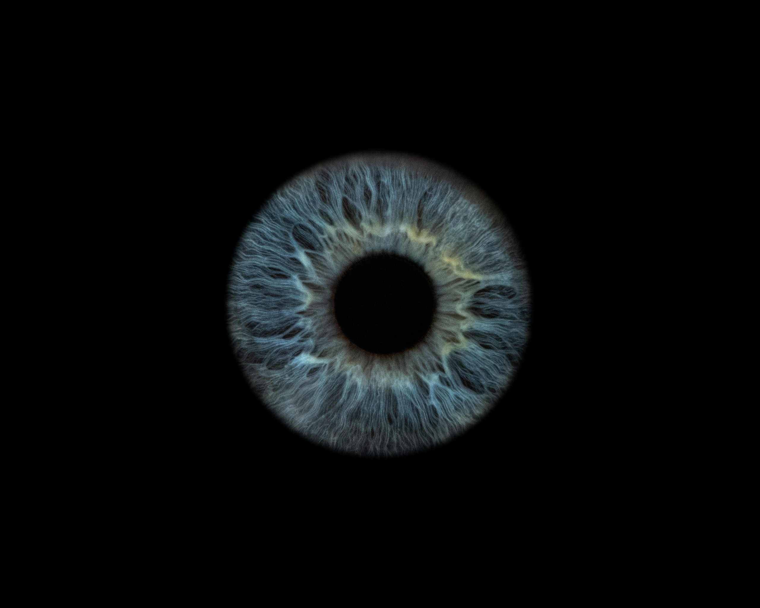 Фотостудия макросъёмки радужки глаз в Севастополе «Ojo art»