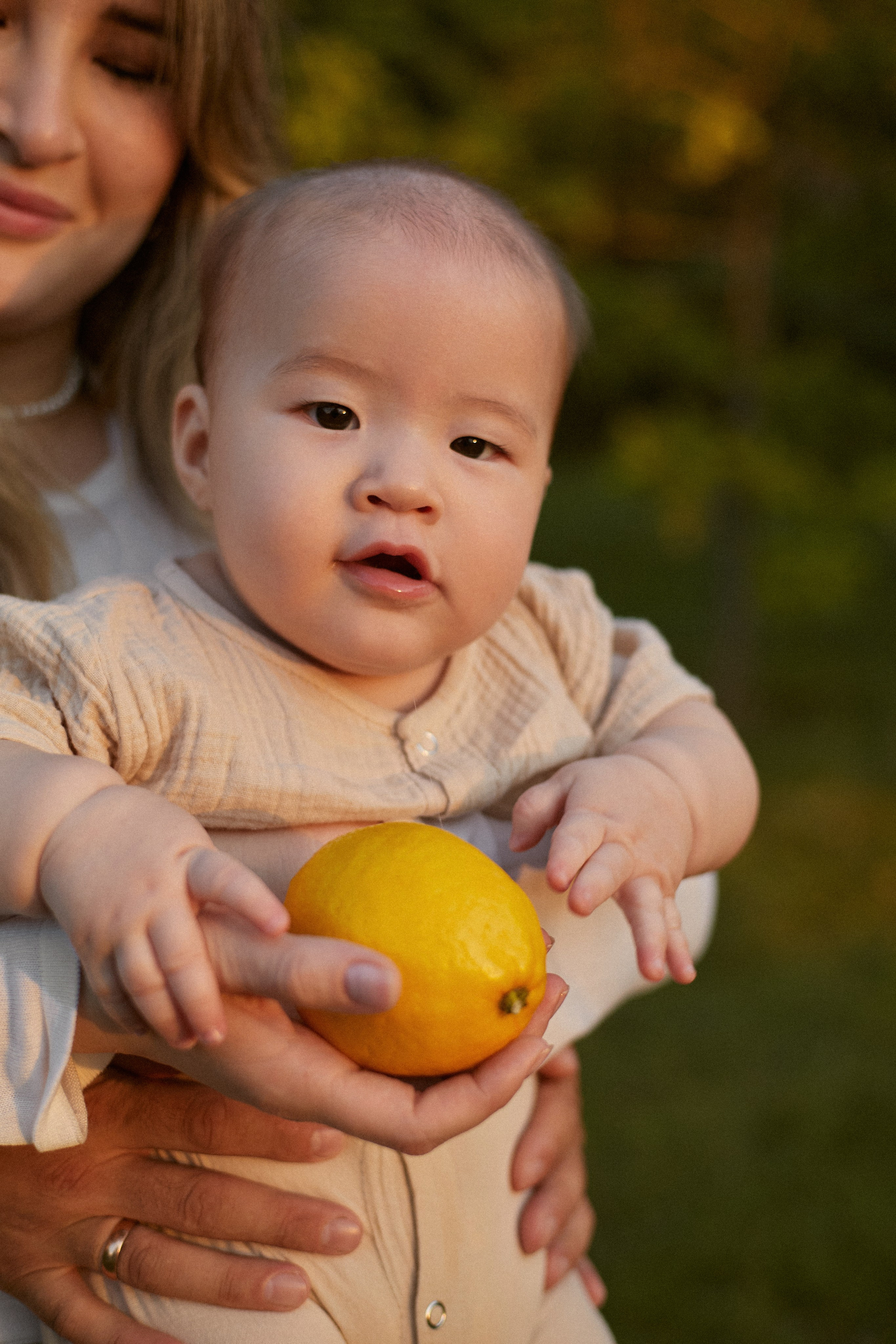 Дендрарий семейная. Juliashtondic. photo