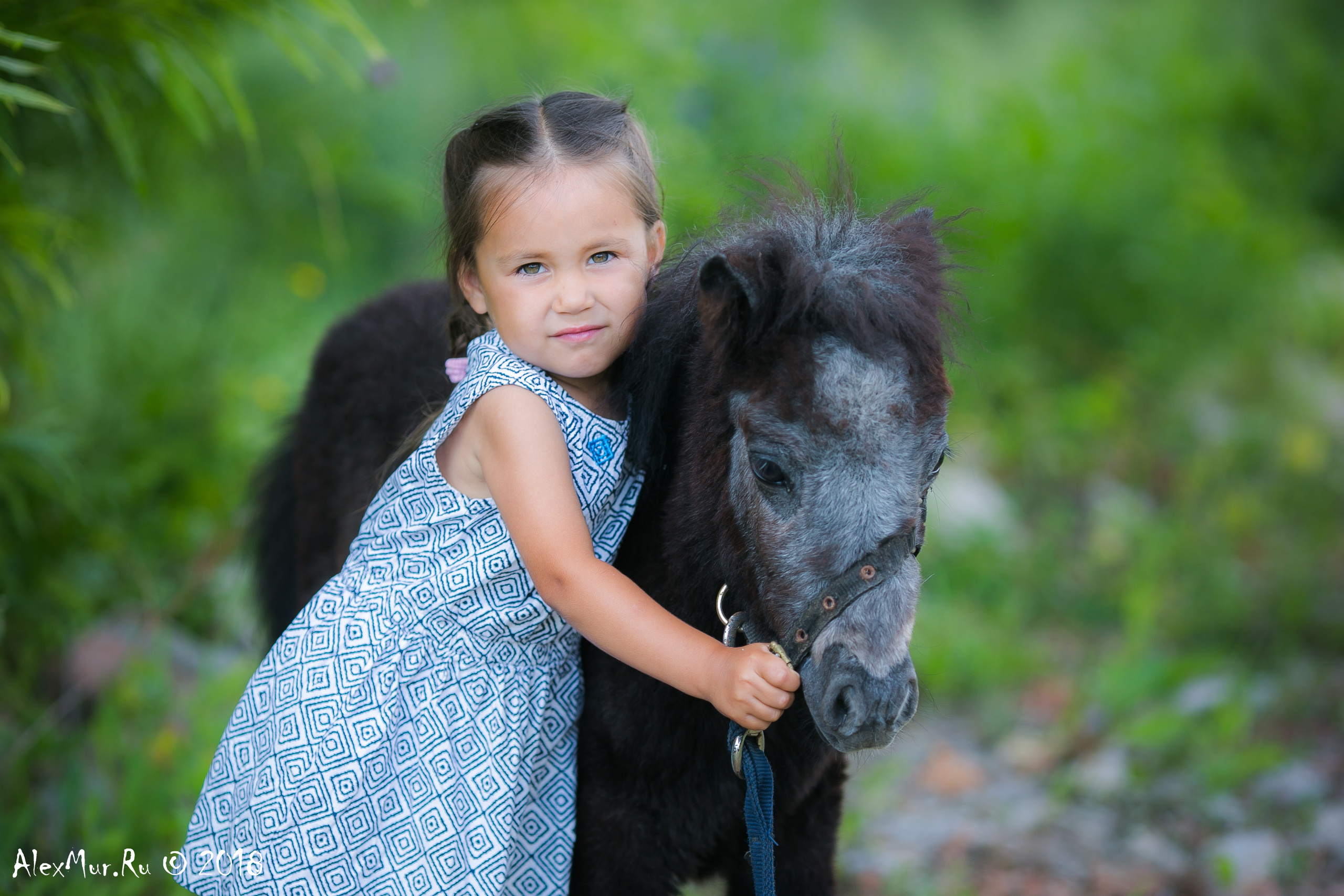 Фотосессии на лошадях Уфа, Фотосессии с лошадью, свадебная фотосессия Уфа, свадебный фотограф Уфа, Фотограф Уфа, Уфа фото, фотограф Алексей Муравьёв  +7 917 45 49 816