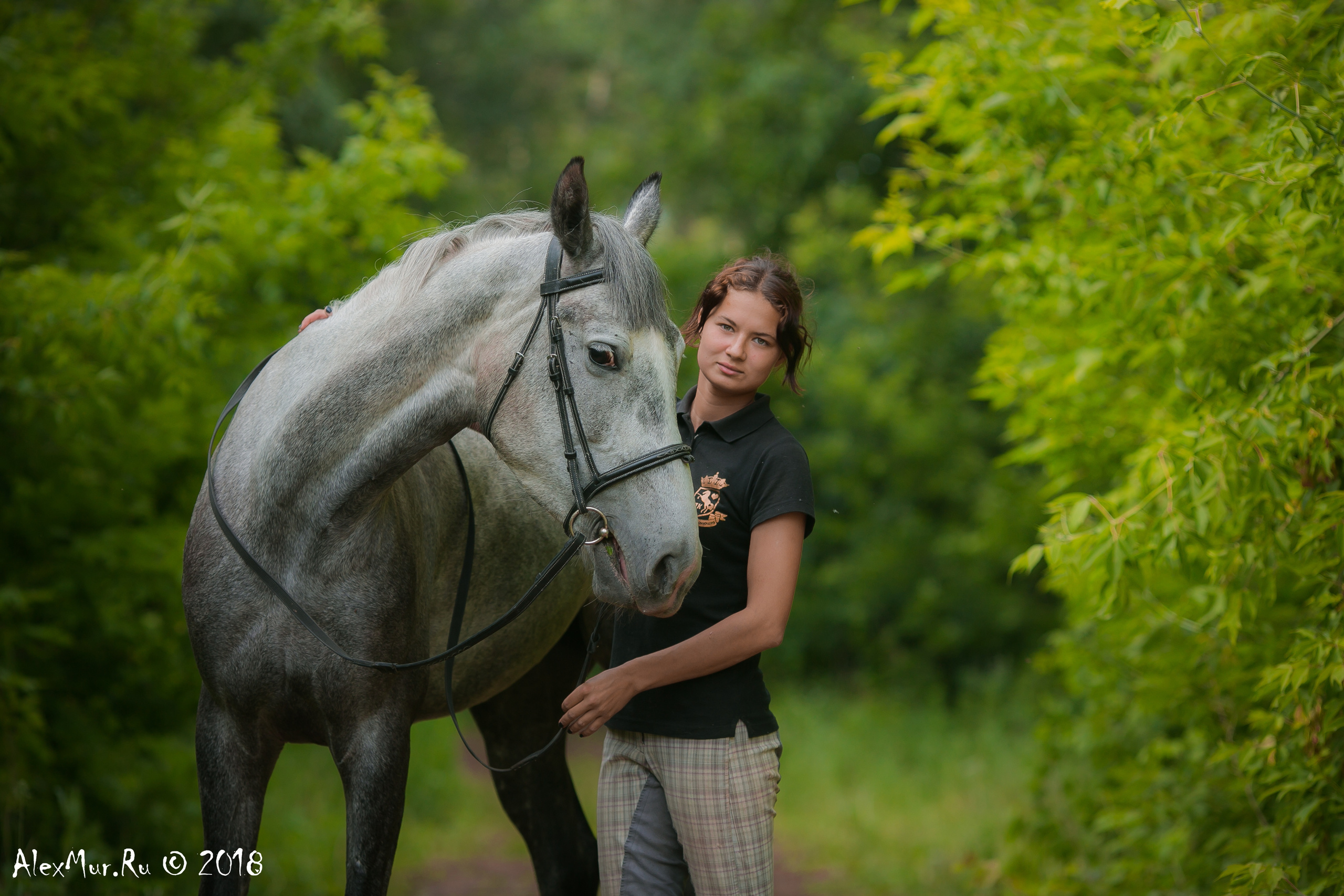 Фотосессии на лошадях Уфа, Фотосессии с лошадью, свадебная фотосессия Уфа, свадебный фотограф Уфа, Фотограф Уфа, Уфа фото, фотограф Алексей Муравьёв  +7 917 45 49 816