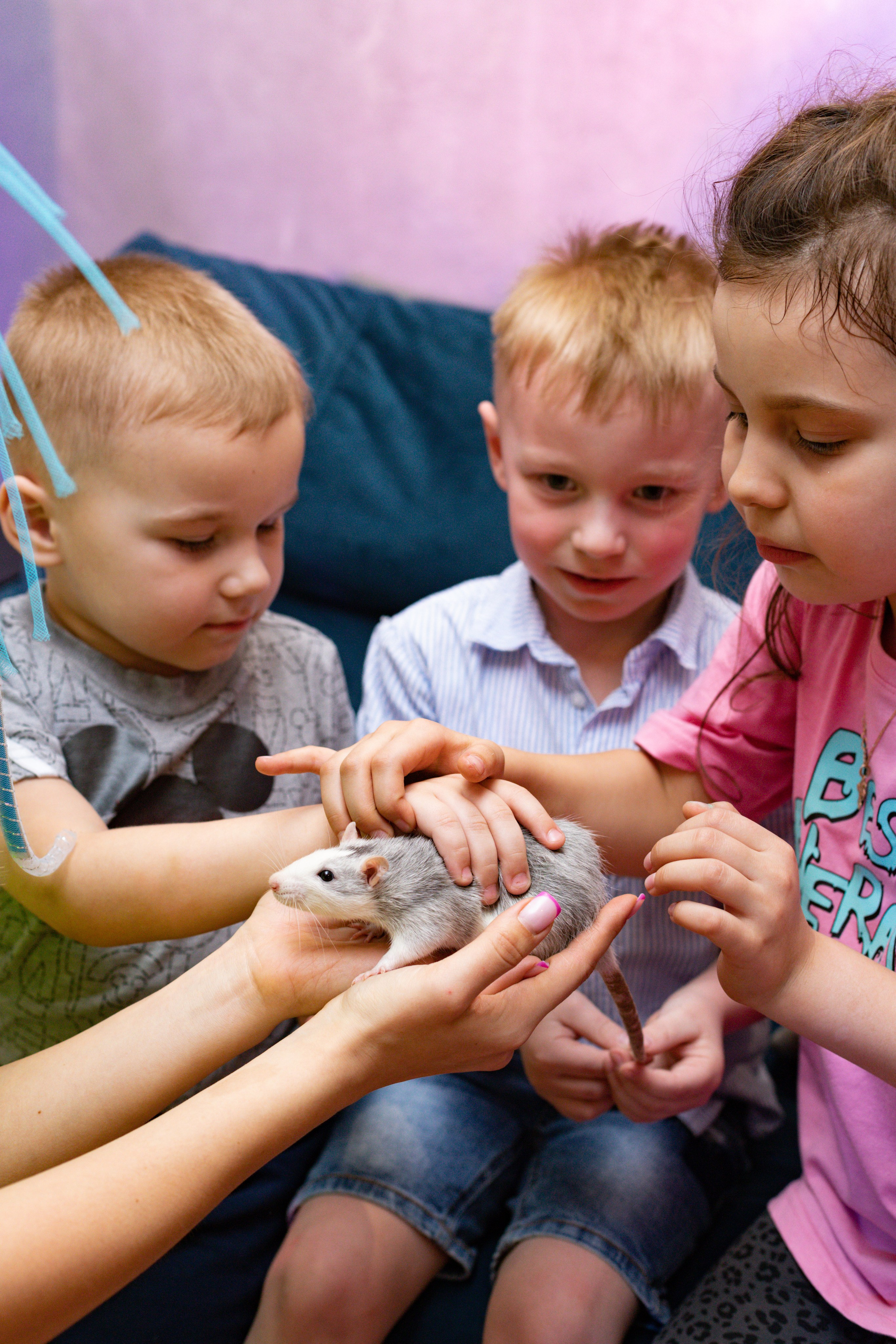 ZAHAR 5 YEAR / BIRTHDAY. Photokarish