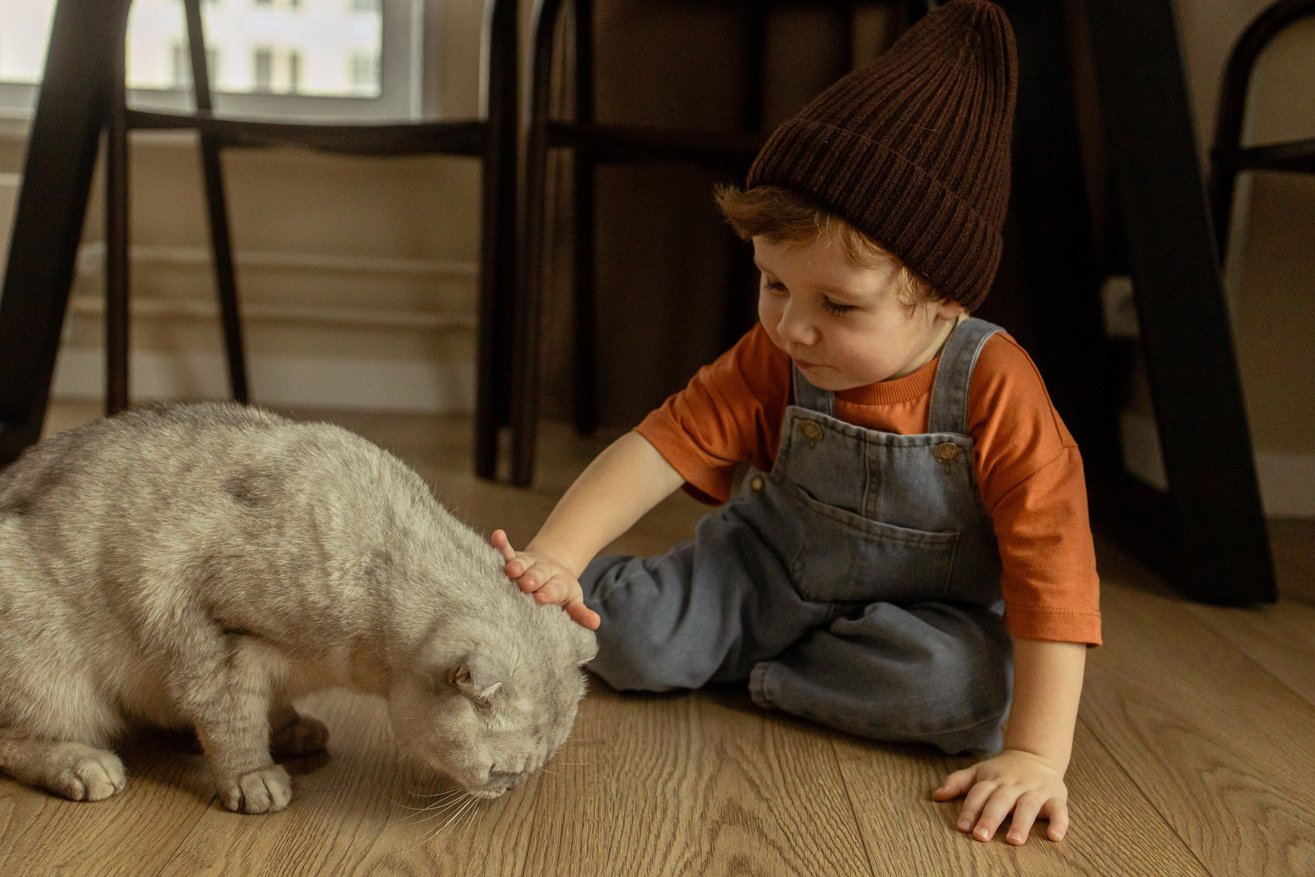 Тепло. Фотограф Анастасия Бобылева, Москва и Московская область
