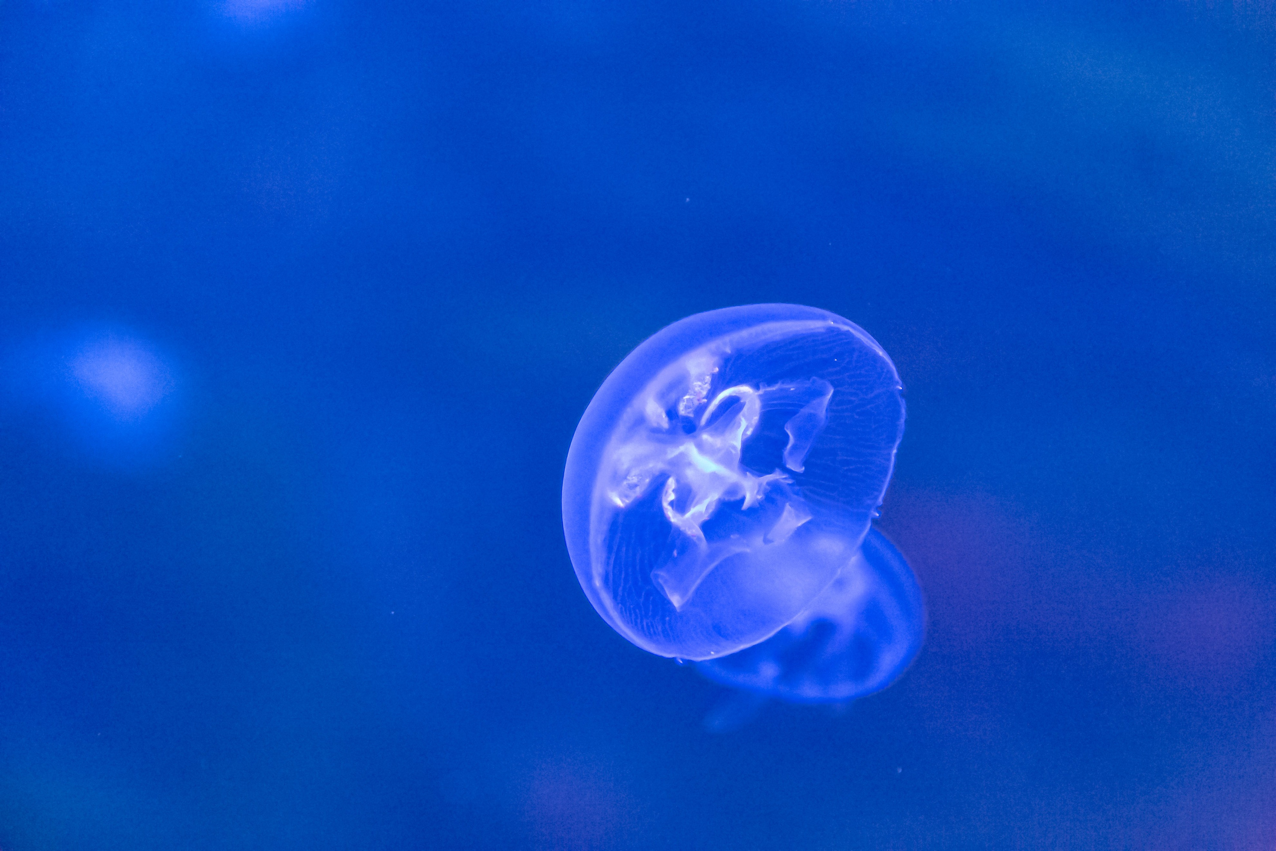 Астана 2025. Светлая сторона