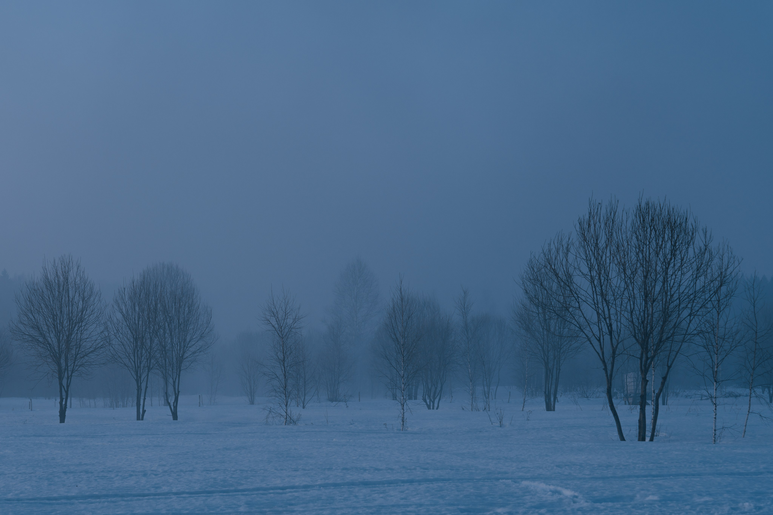 Масленица в Никола — Ленивце. @tomrus: Рустам Шагиморданов — фотограф