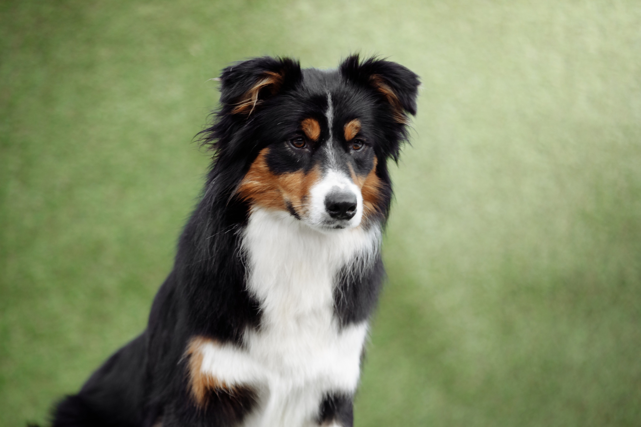 Свое место. О нас