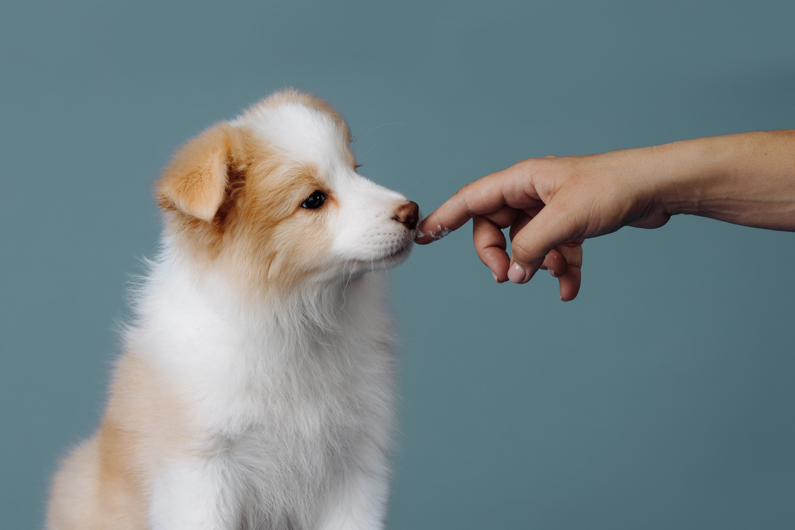 Март. Весна. 22. О нас