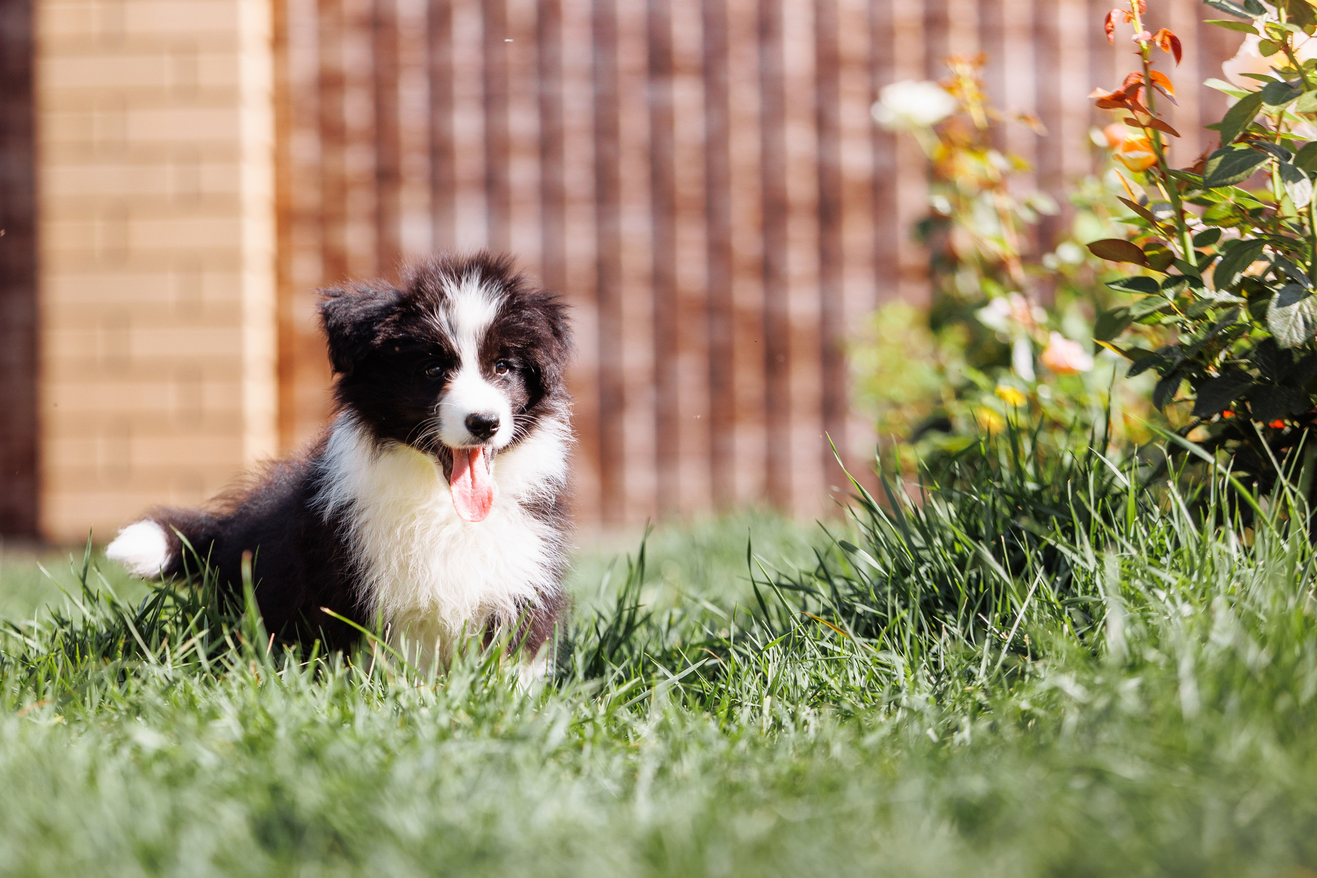 МММ — маленькое мягкое милое. О нас