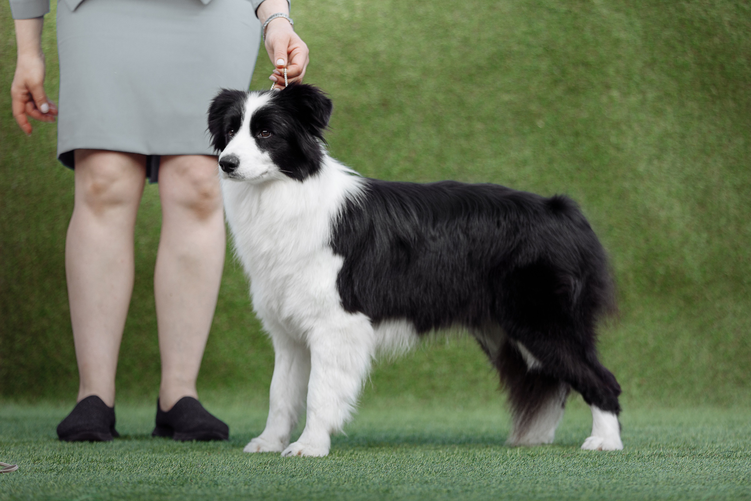 Hidden Charm Gravity Of Love — Грета. О нас