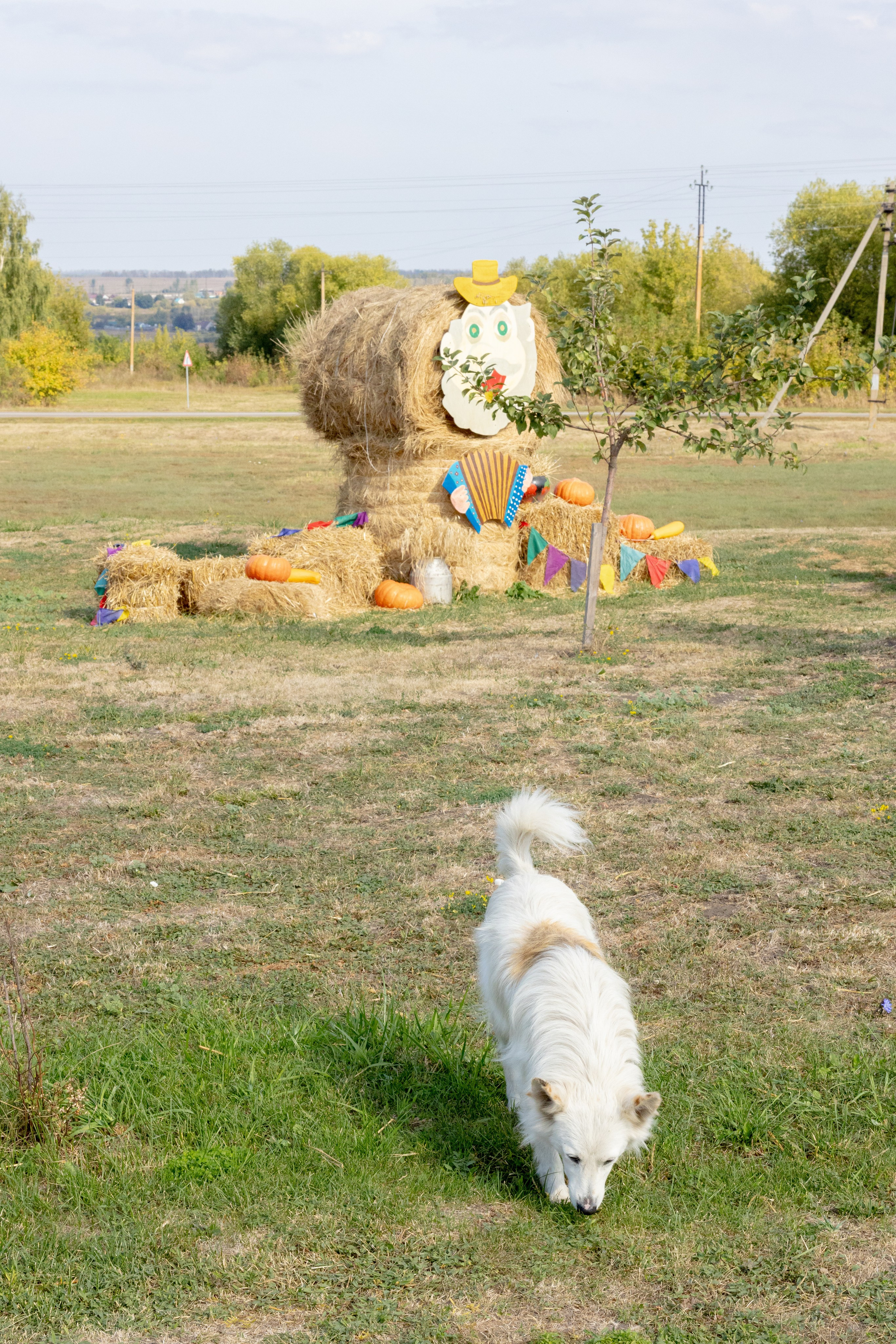 Куликово Поле. Фотограф в Туле Крупский АнДРей. Фотостудия «КАДР71» в Туле