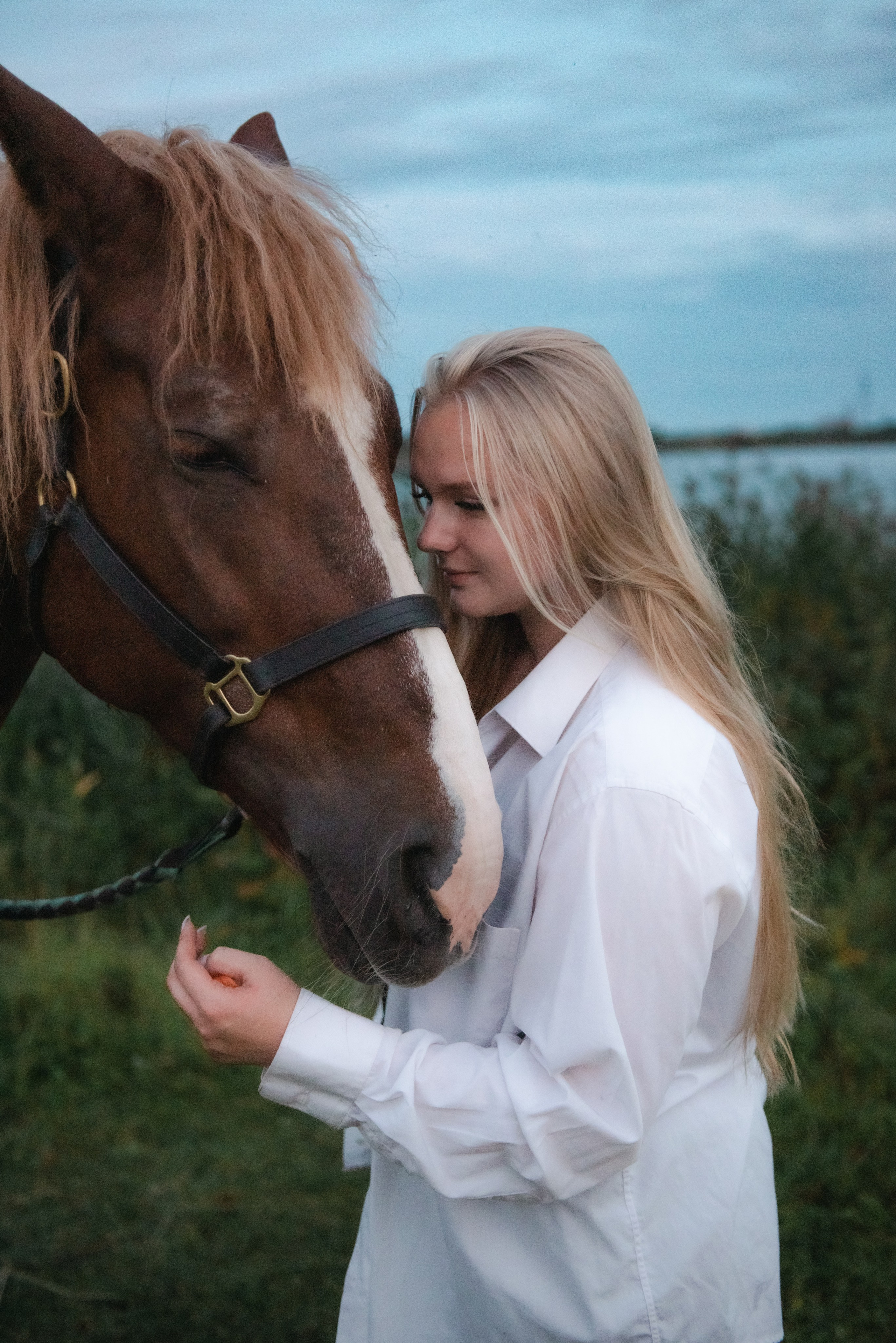 Конная фотосессия