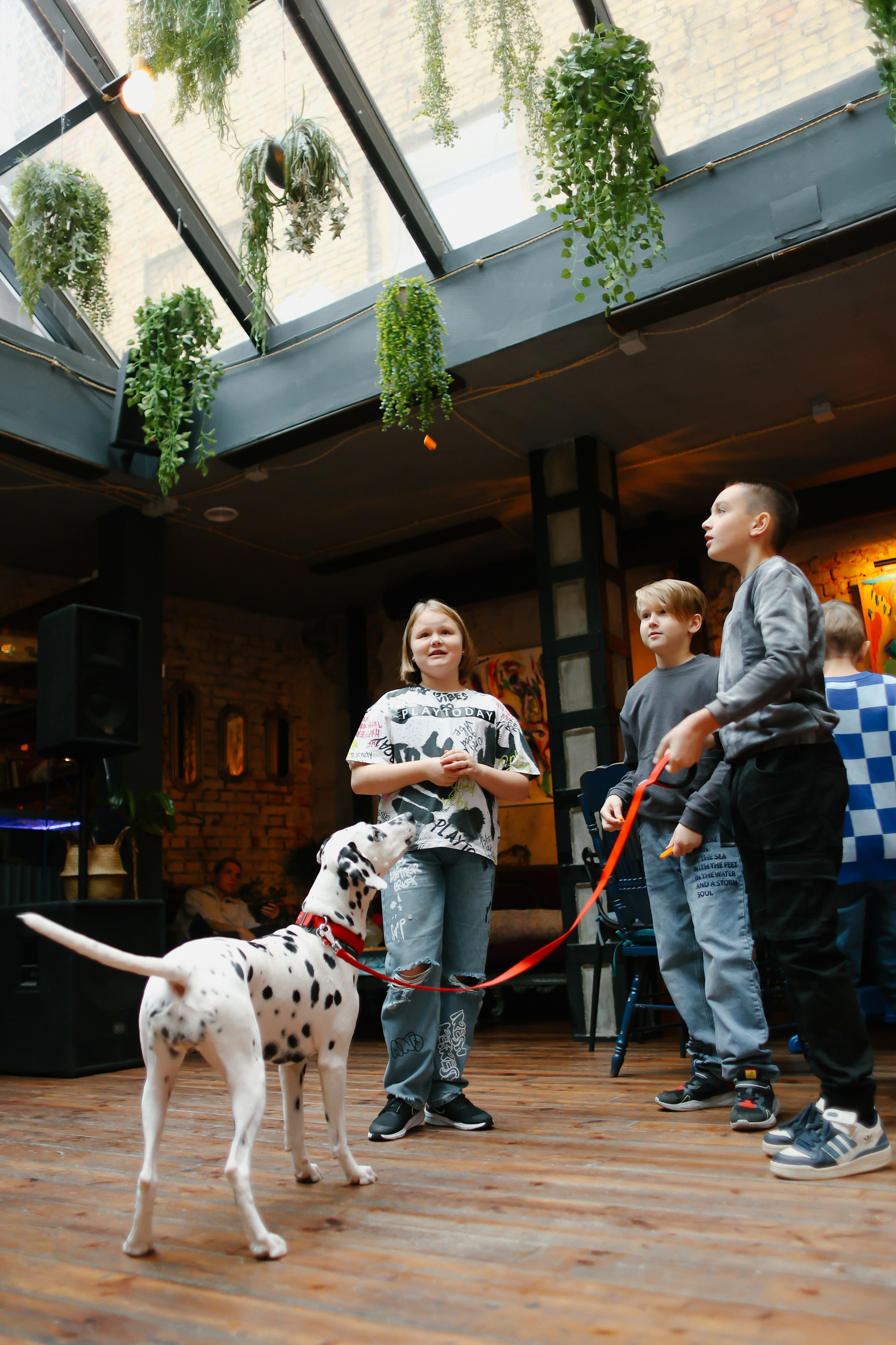 Crualle. Главная