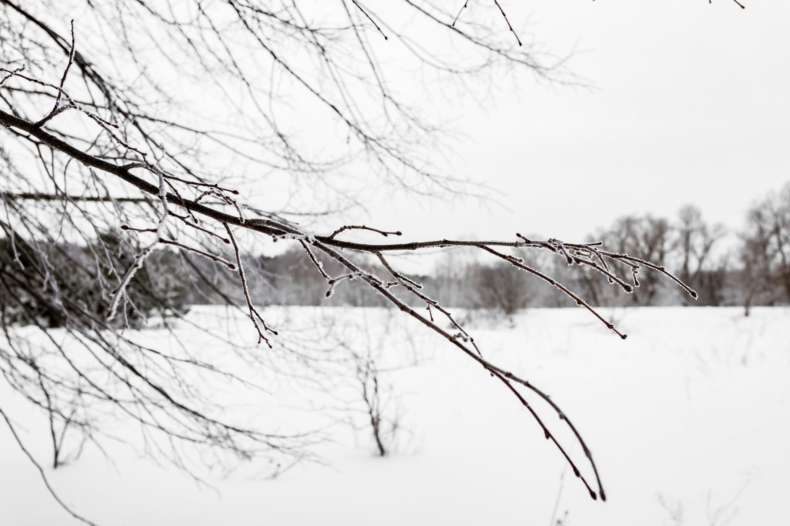 Съемка интерьера для The Banya. Интерьеры, Контент, Портреты | Фотограф в Москве Дани Терно