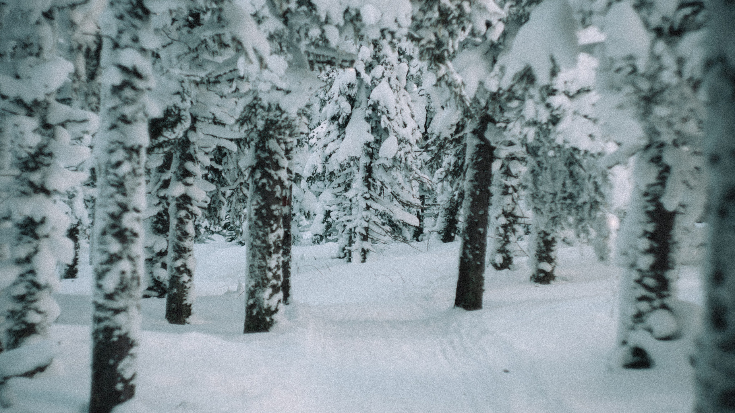 Фотографии из путешествий. NECULTURED PHOTOGRAPHER