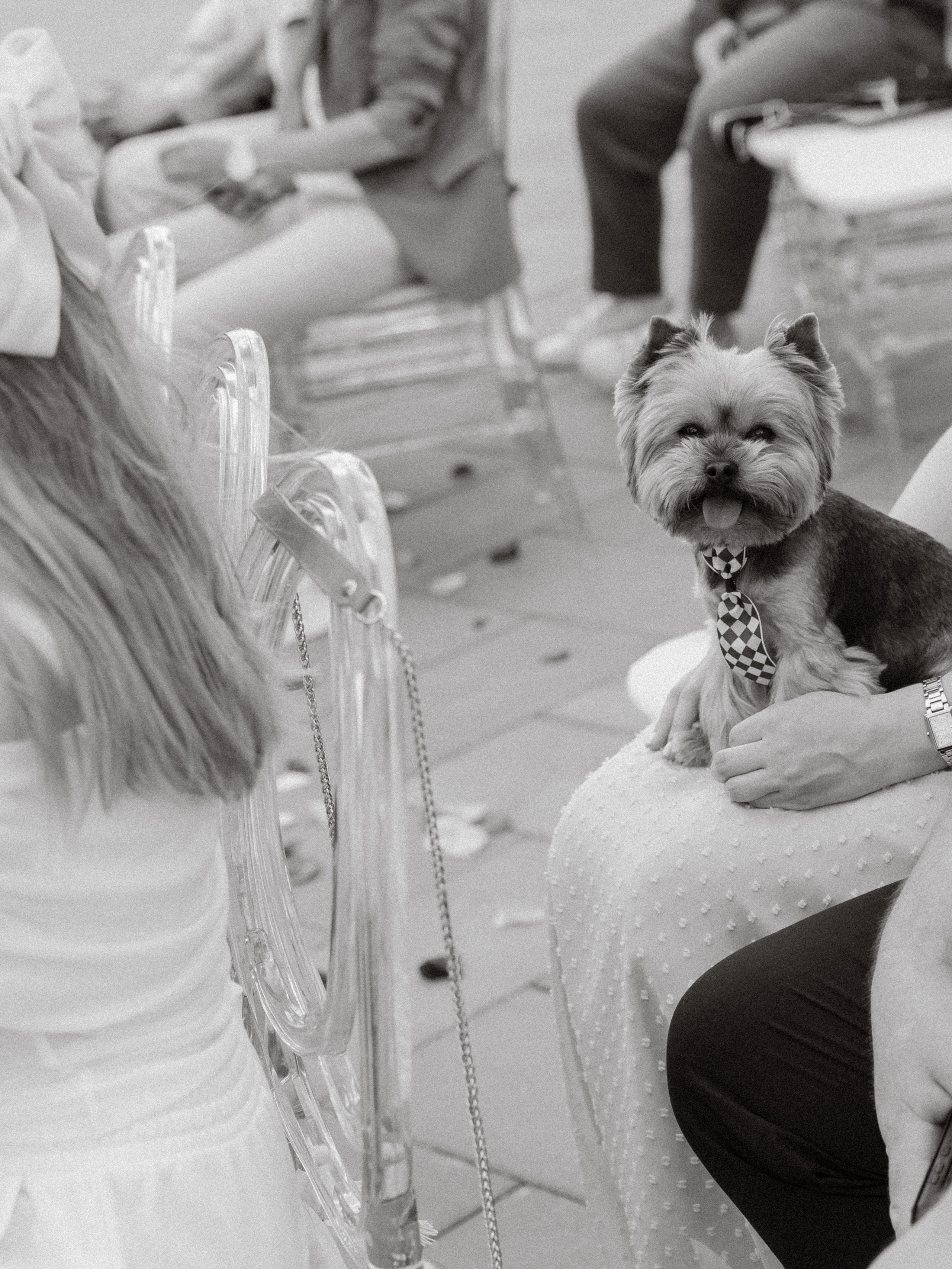 Анонс Wedding day Андрей и Вероника. Свадебный фотограф Колесников Антон