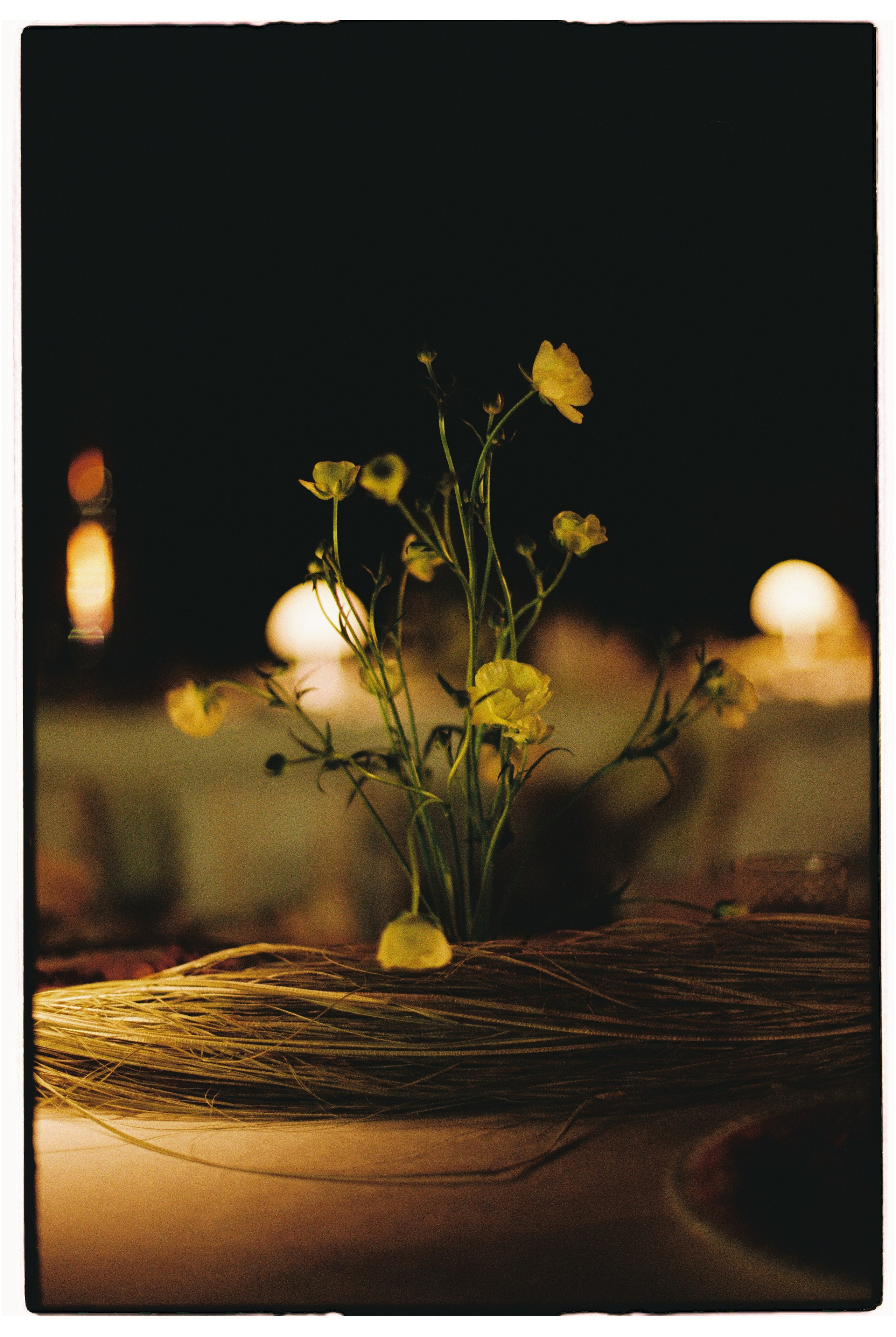 Simply can be special. Annbakhtina.com