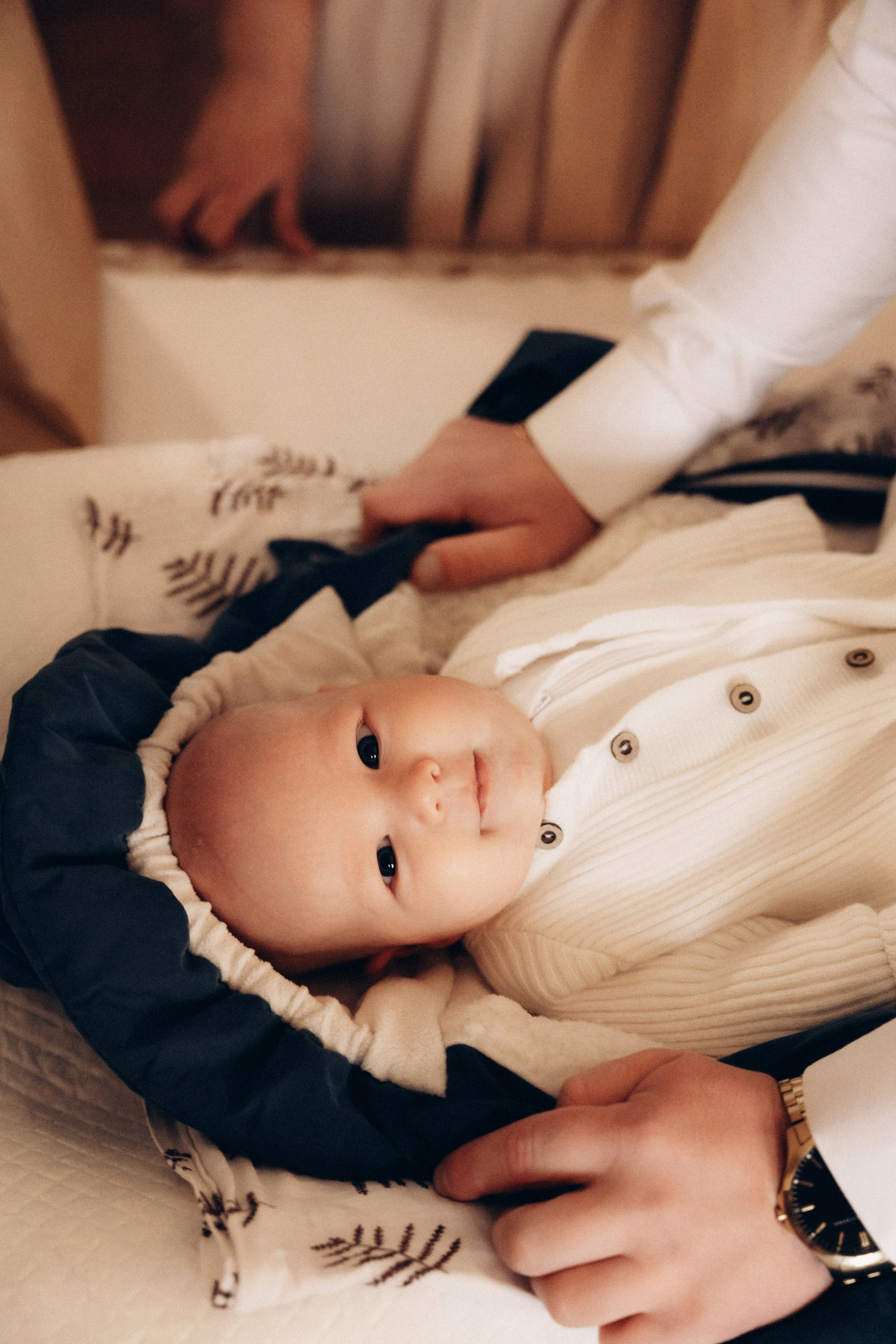 Лев. Алёна Хомич. Свадебный и семейный фотограф Коломна, Москва