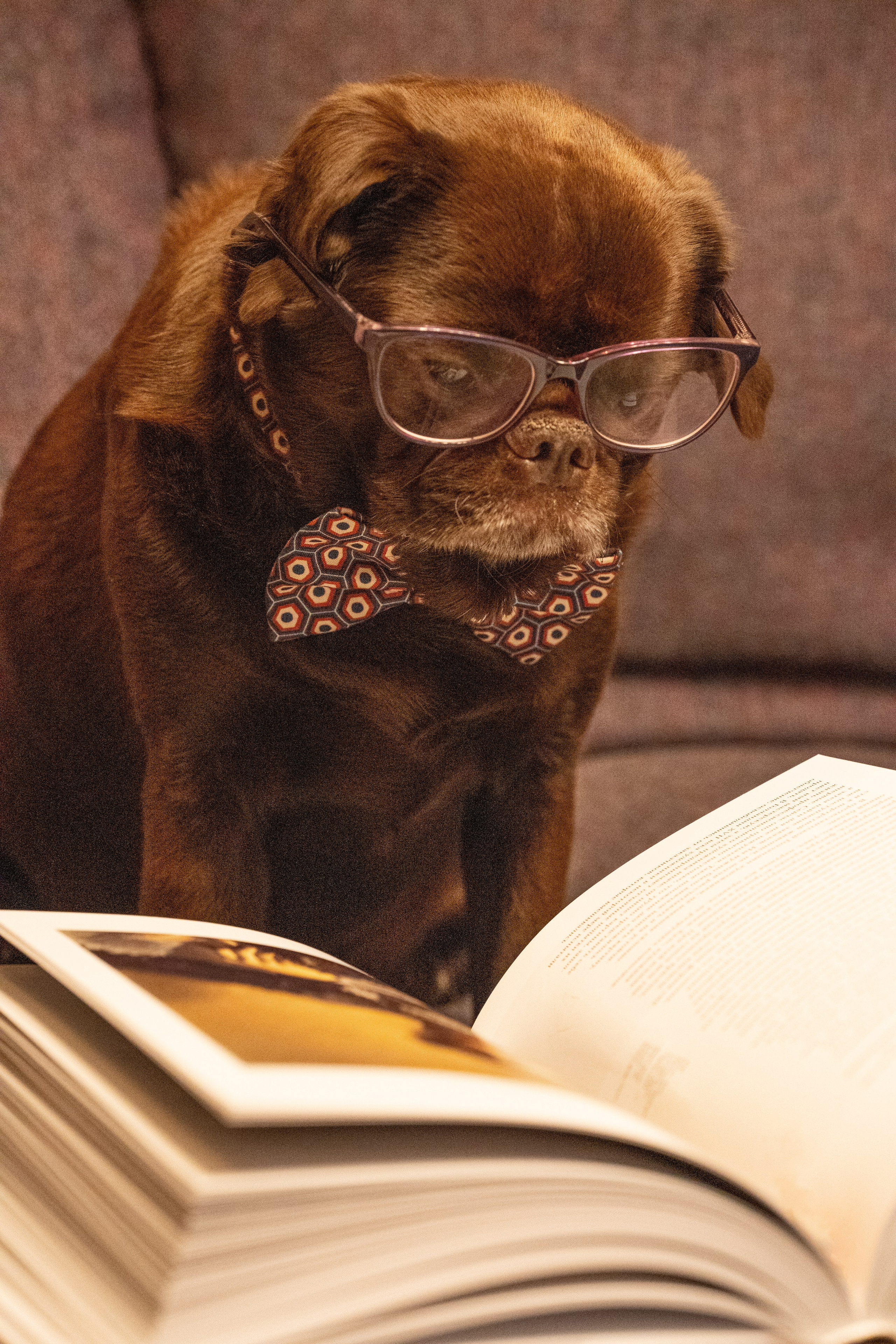 Для души. Фотосессия портрет, ню, будуар, стрит фотограф Москва Юлия Кафизова