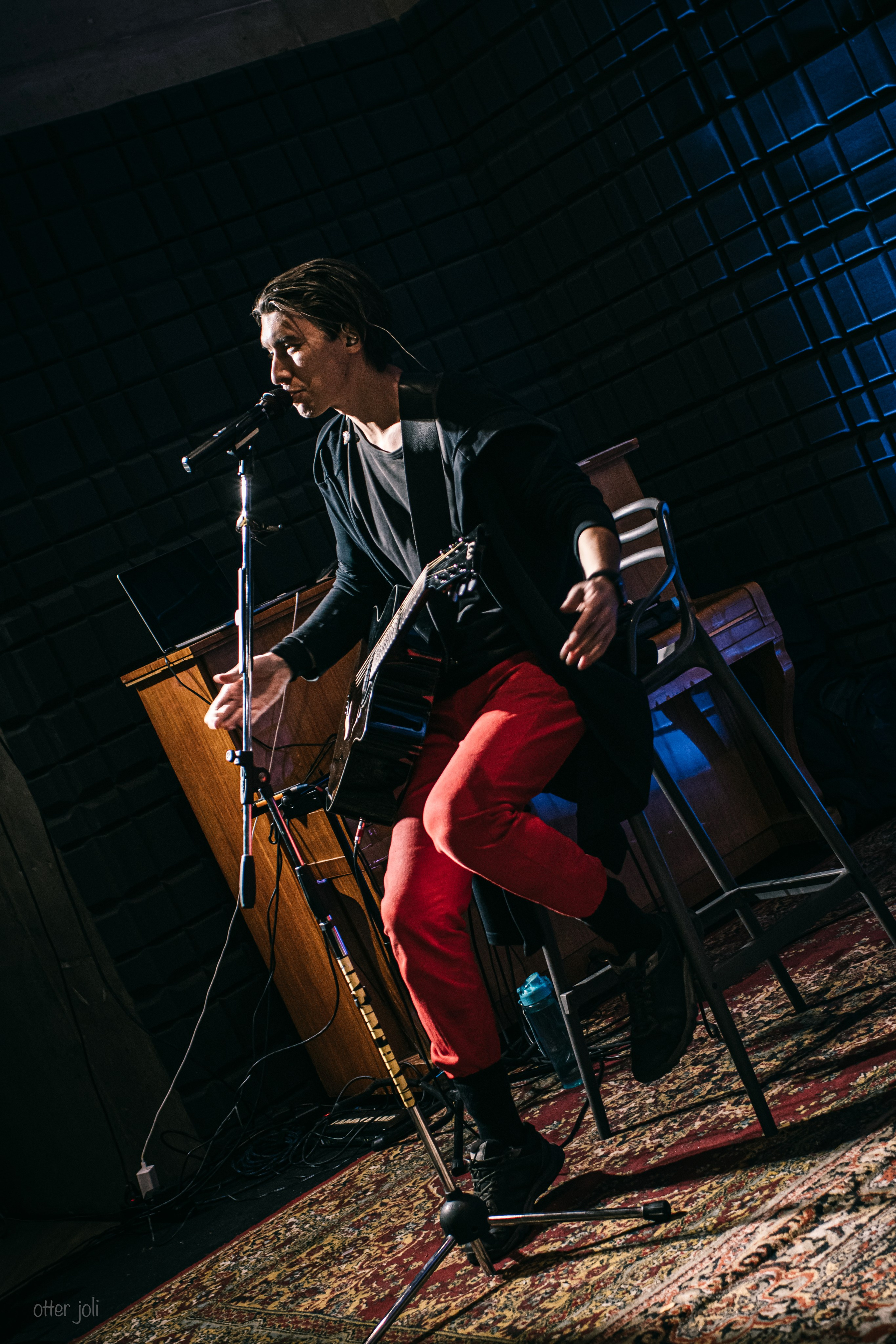 STREET ACCORDION. Концертный репортёр Валерия Сафина