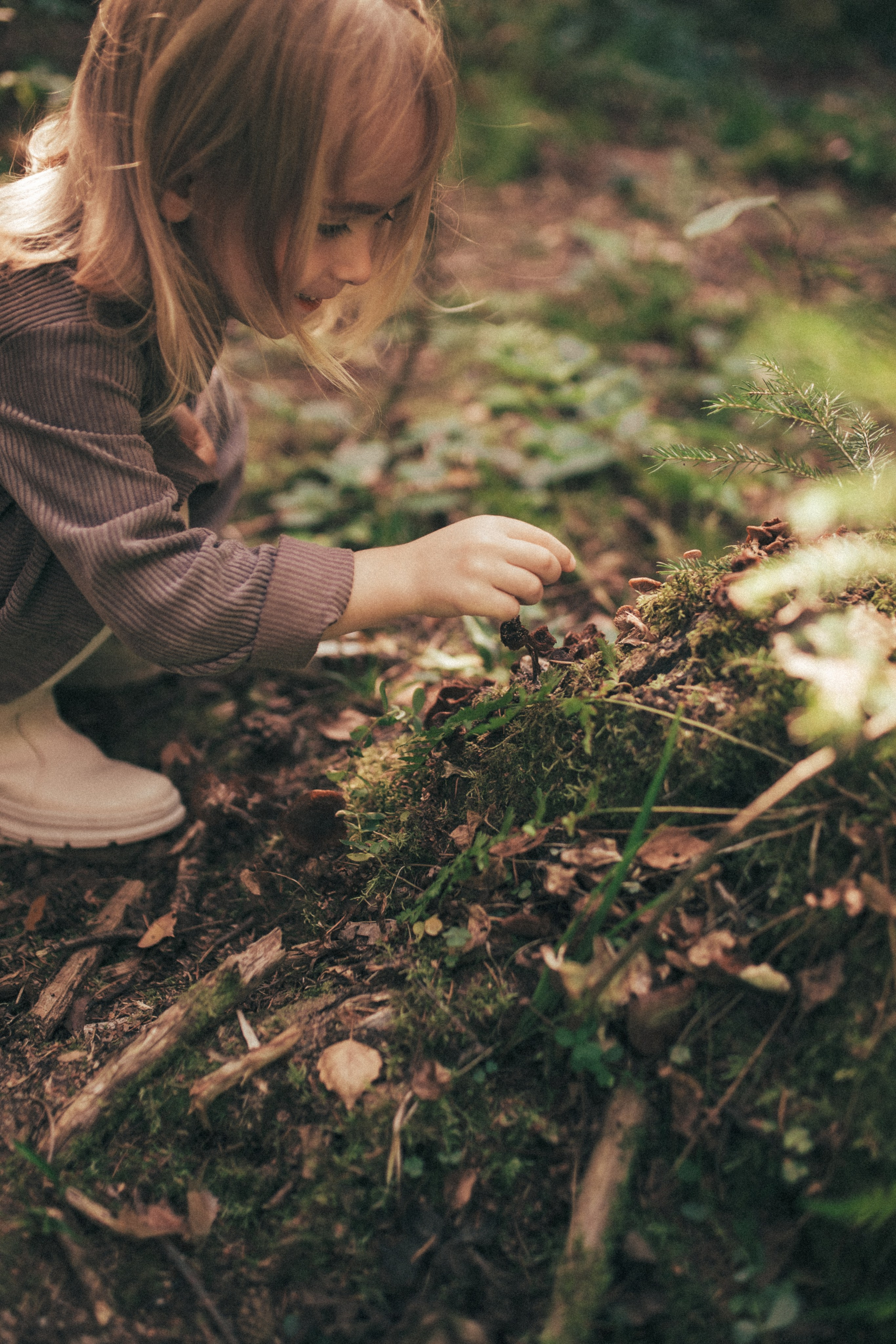 Домик на дереве и моя любимая семья. Фотограф в Москве Наталья Спиридонова