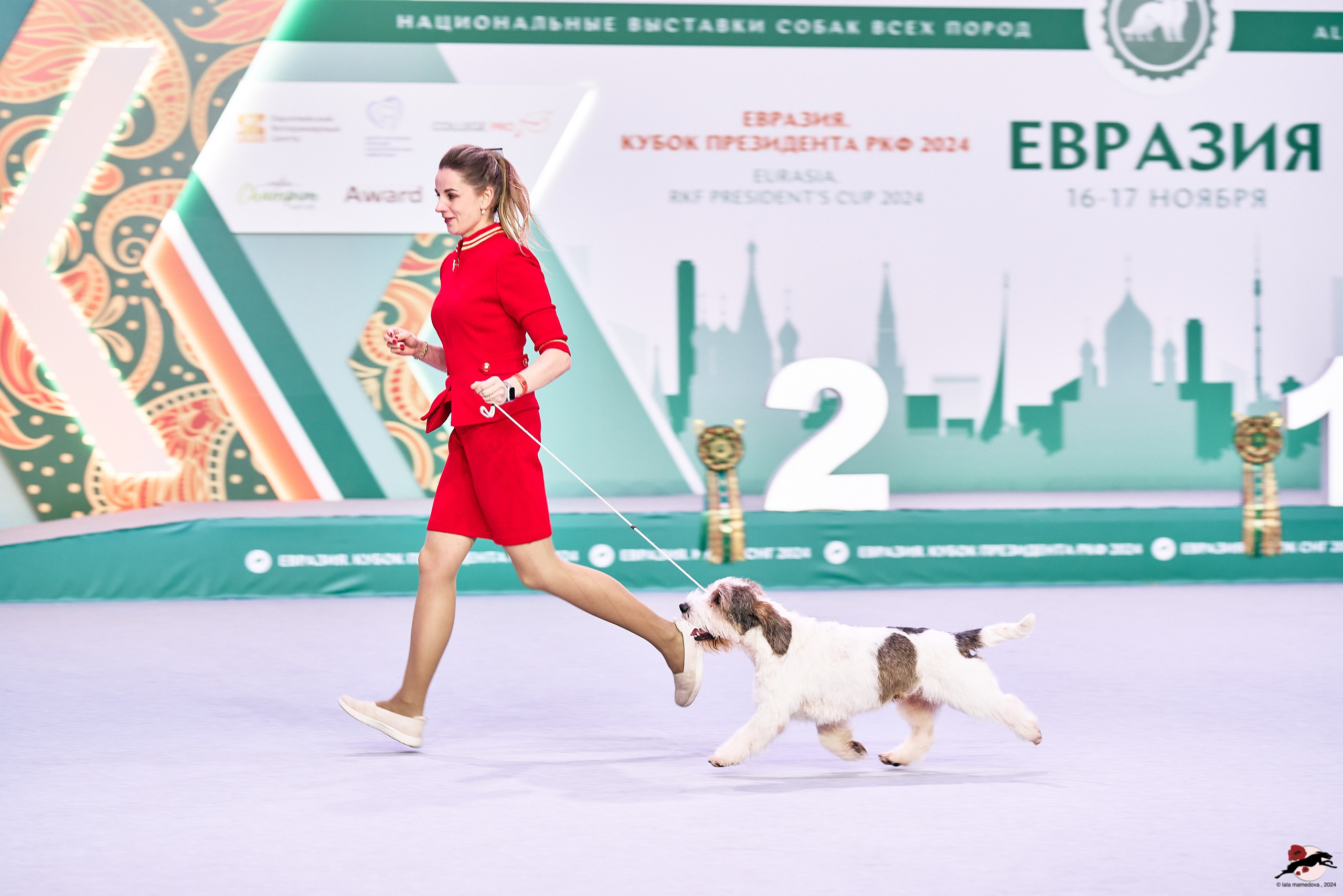 16.11.2024 «ЕВРАЗИЯ. КУБОК ПРЕЗИДЕНТА РКФ 2024»