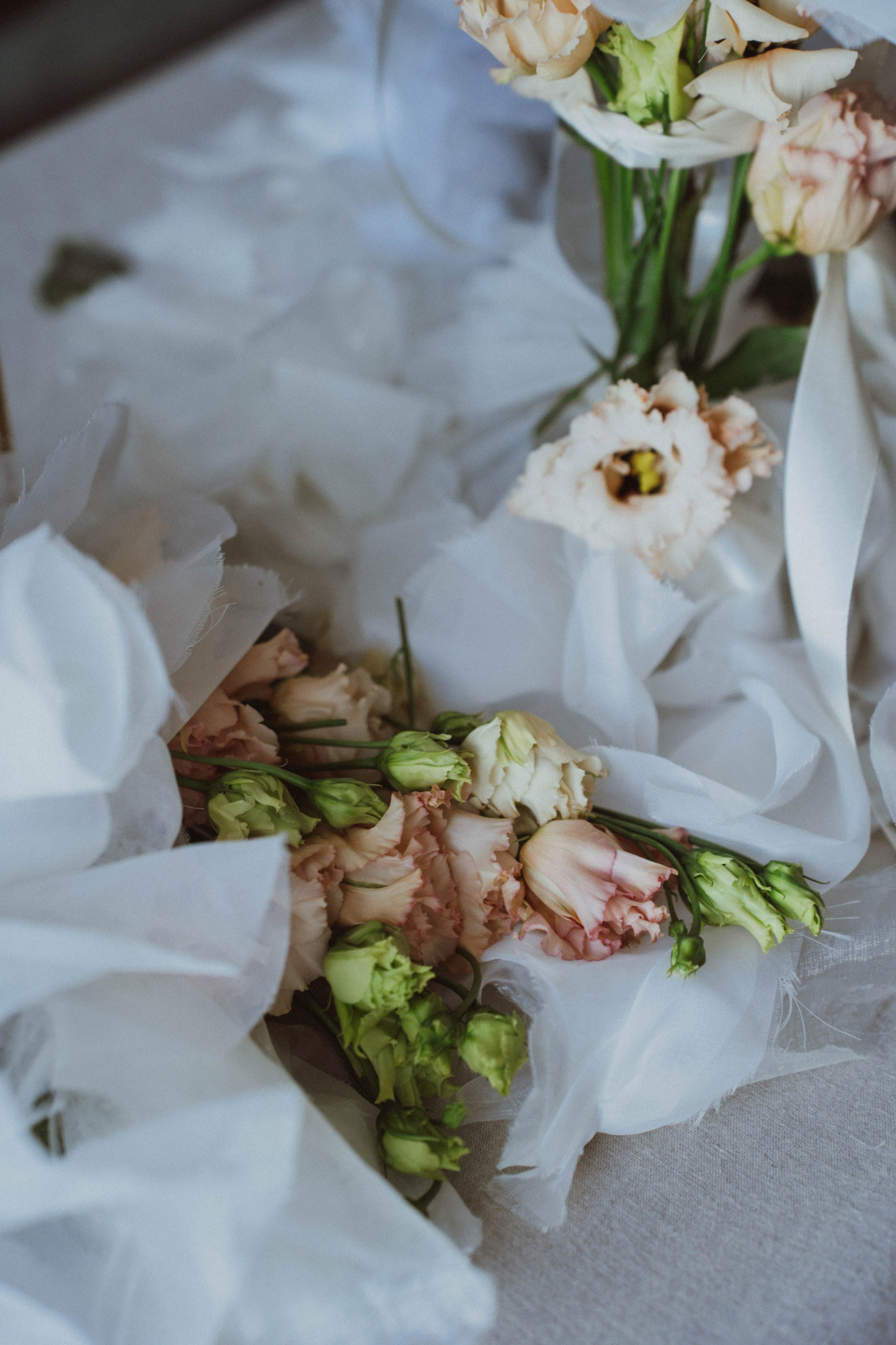 Кристина&Марк. Фотограф Абакумова Анастасия