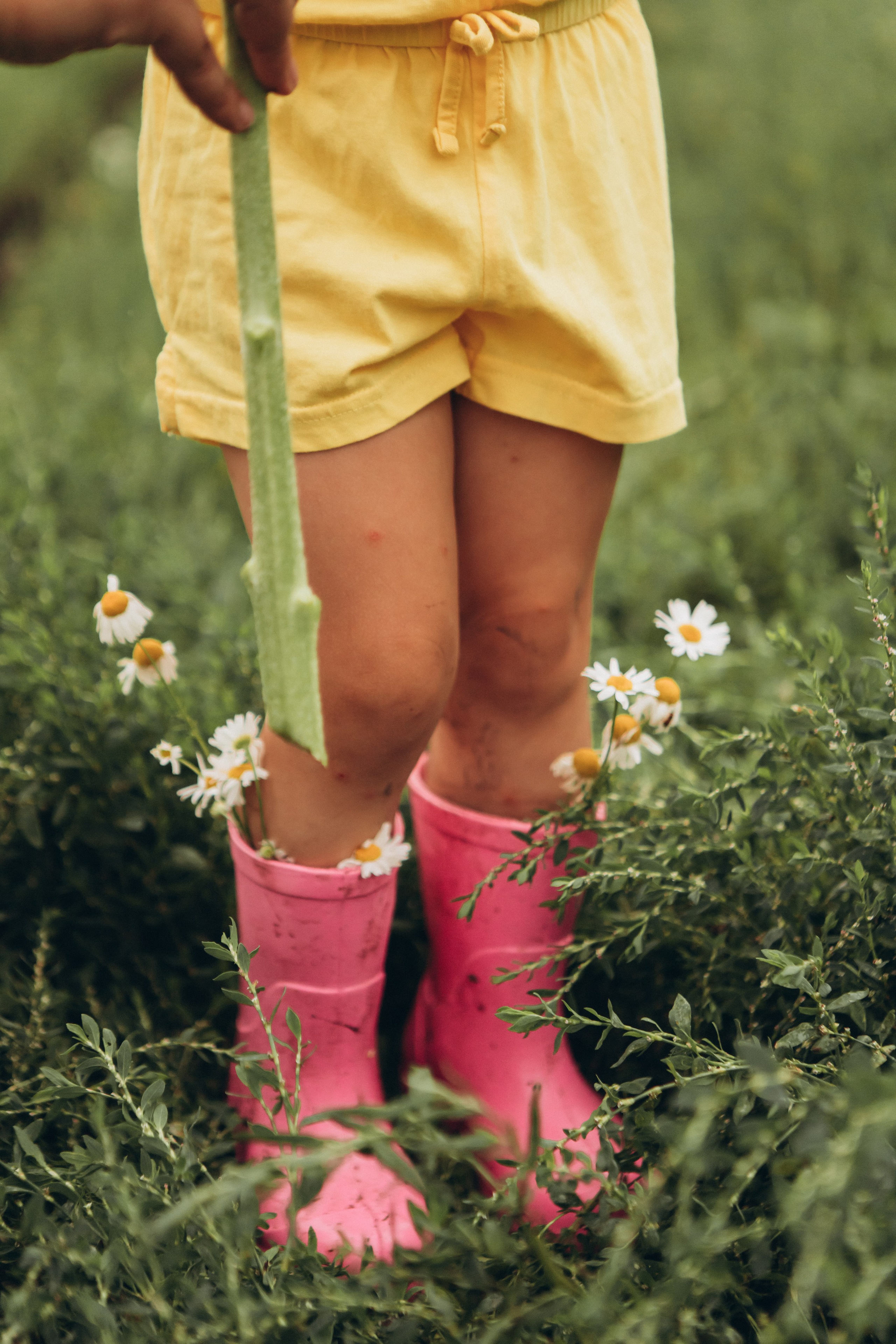 Семейные съемки. Семейный и детский фотограф Олеся Козьякова