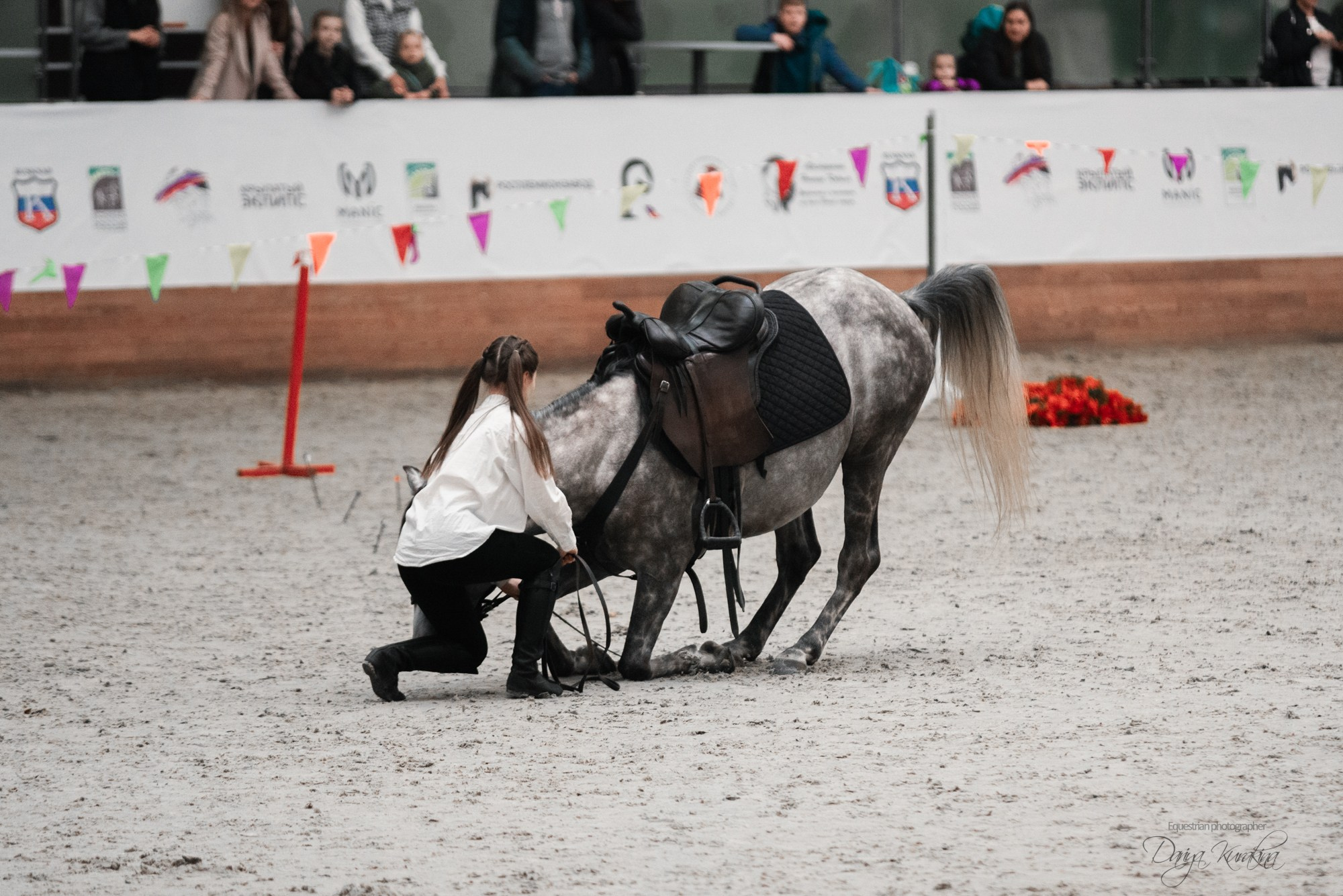 8-я международная выставка Конная Россия. Конный фотограф Куракина Дарья • Фотосессии с лошадьми