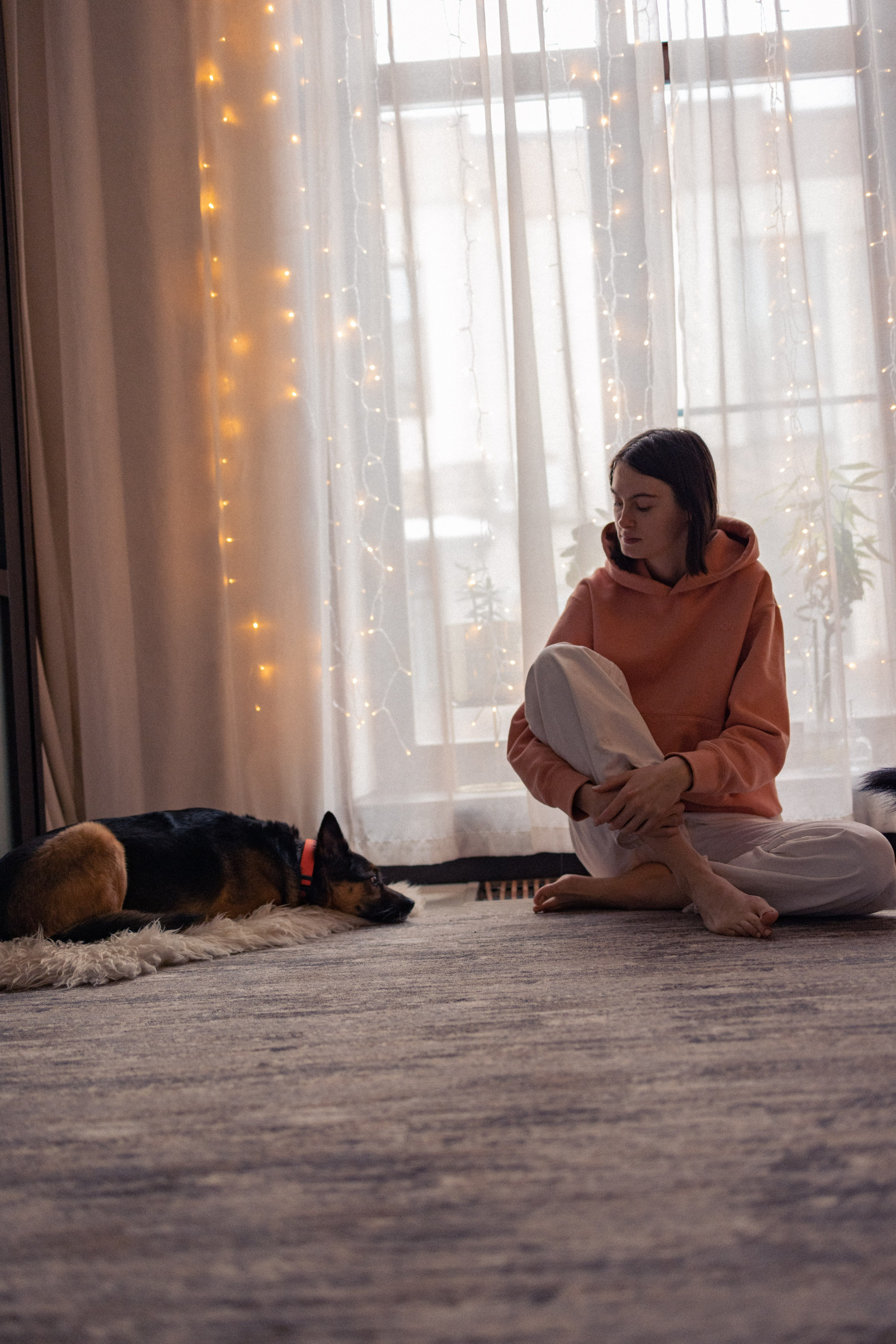 Ника, Матиша и Герда. Фотограф-анималист в Москве Лера Черноног