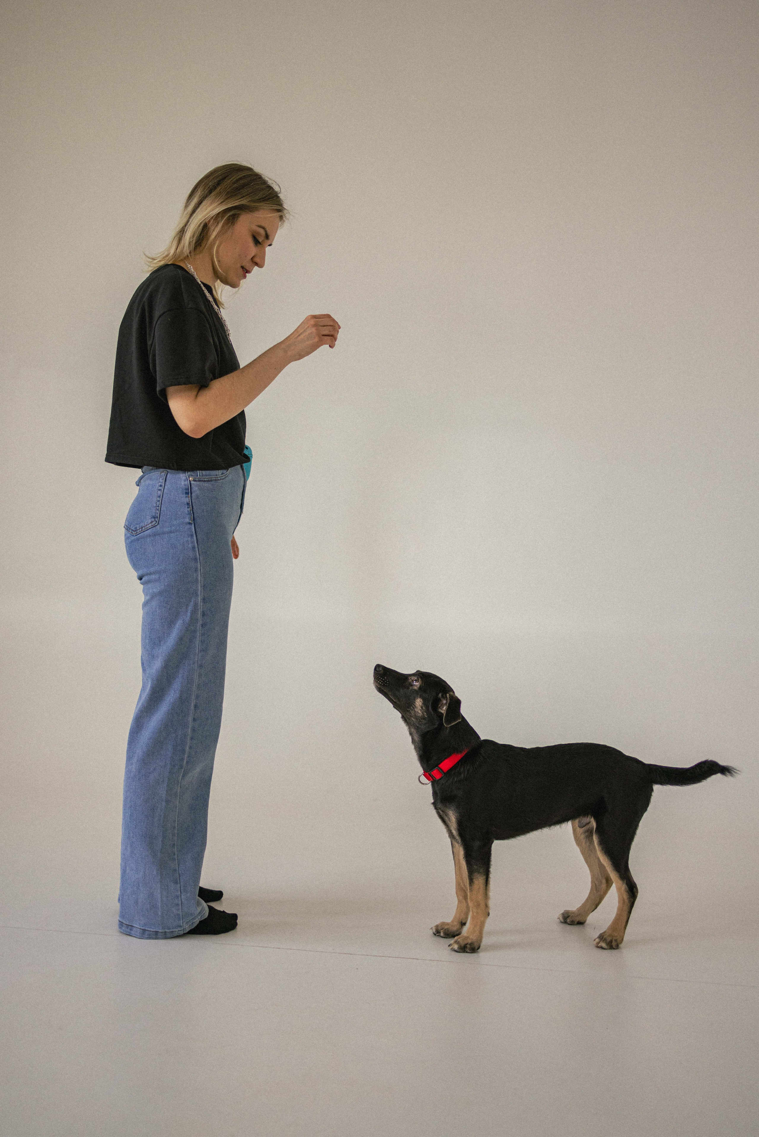 Крис и Тэдди. Фотограф-анималист в Москве Лера Черноног