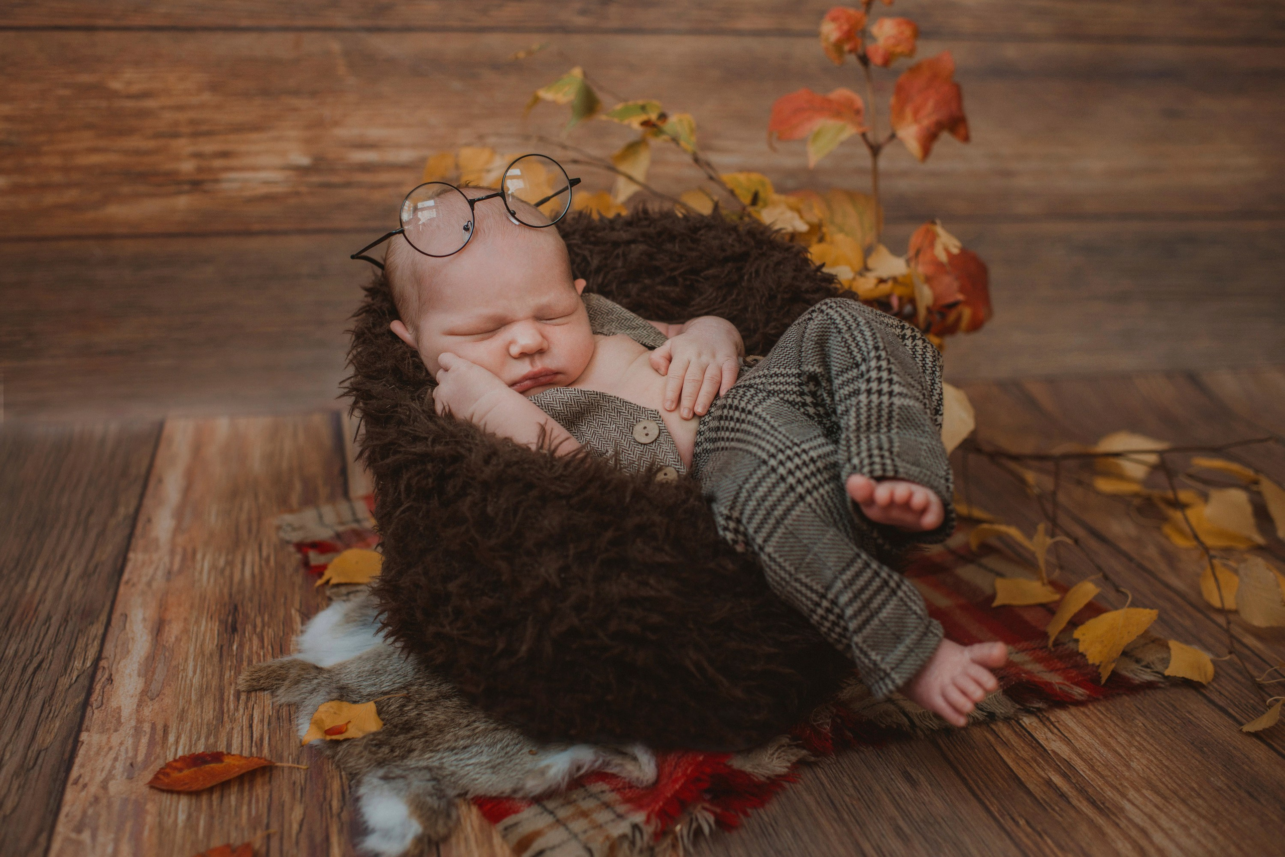 Младенцы. Семейный фотограф в Москве Полина Ситникова