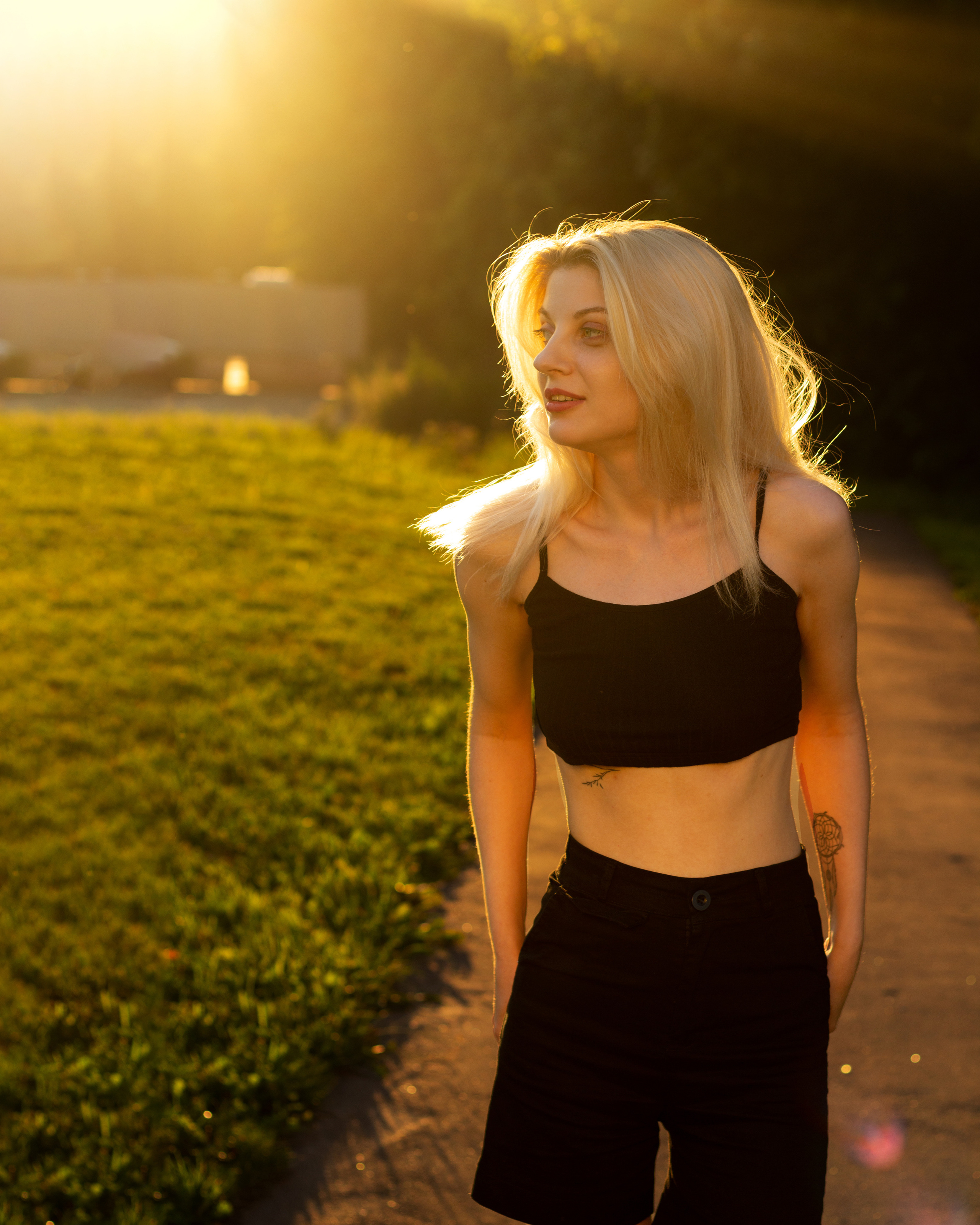 Альбом фотографий — Закат на траве. Николай Мокрицкий — Фотограф в Москве и Московской облости