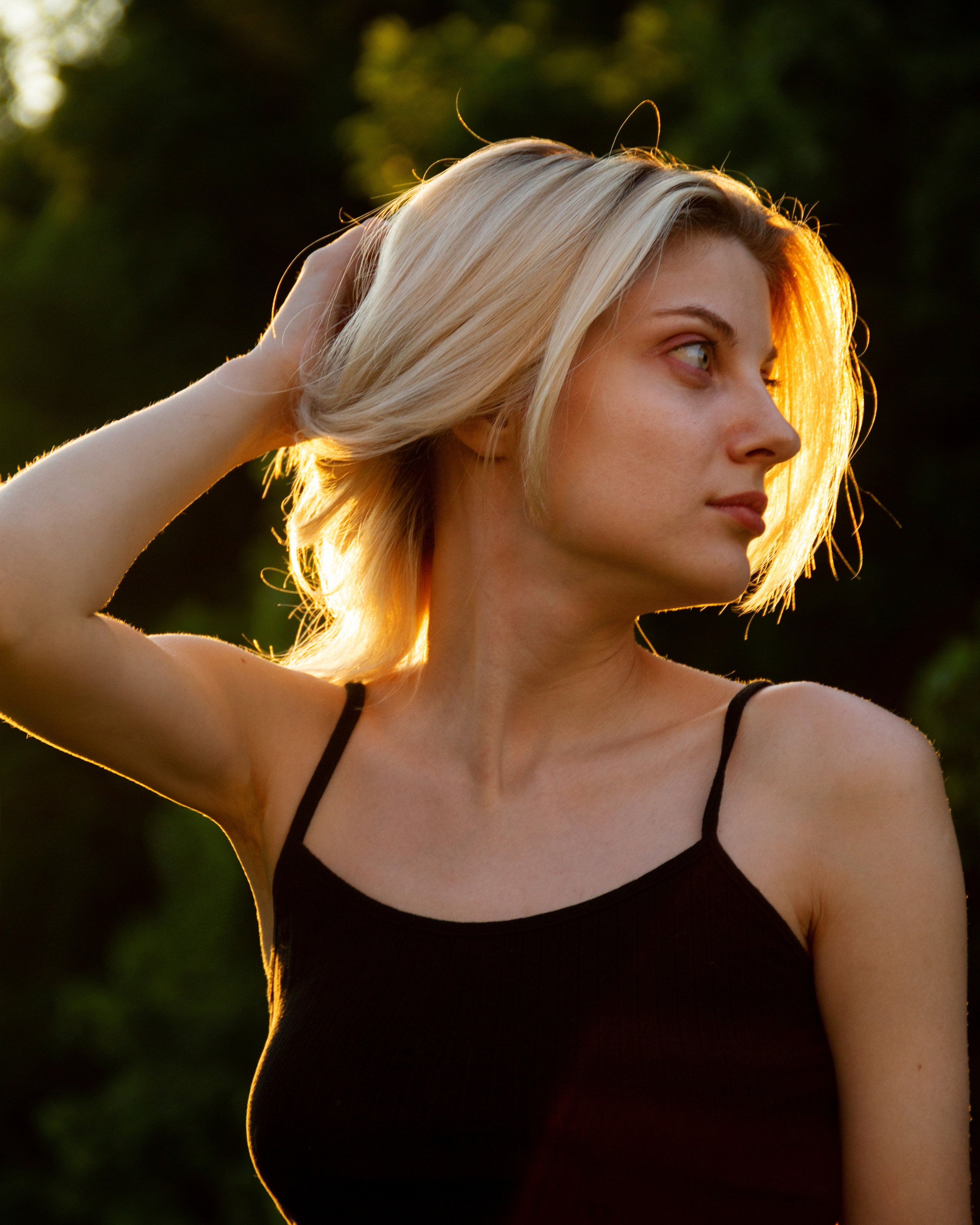 Альбом фотографий — Закат на траве. Николай Мокрицкий — Фотограф в Москве и Московской облости