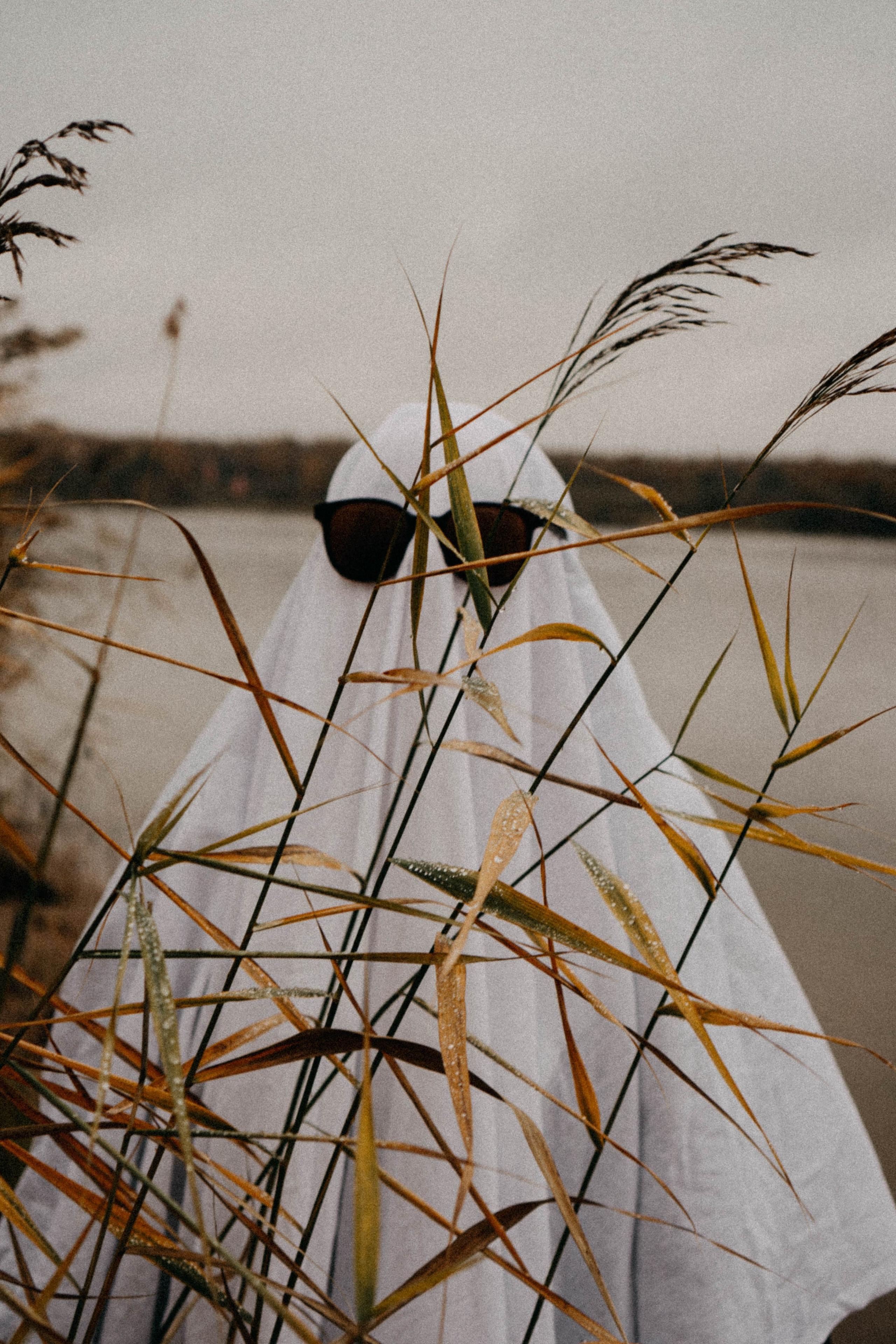 Осеняя. Профессиональный фотограф, Санкт-Петербург — Виктория Богомолова