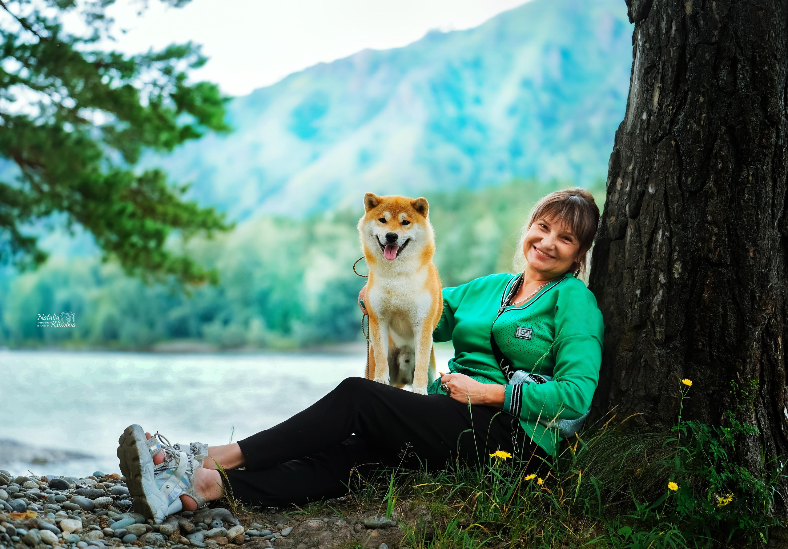 Сиба питомник RUBYLIGHT. Американская акита I Сиба ину I Питомник RUBYLIGHT