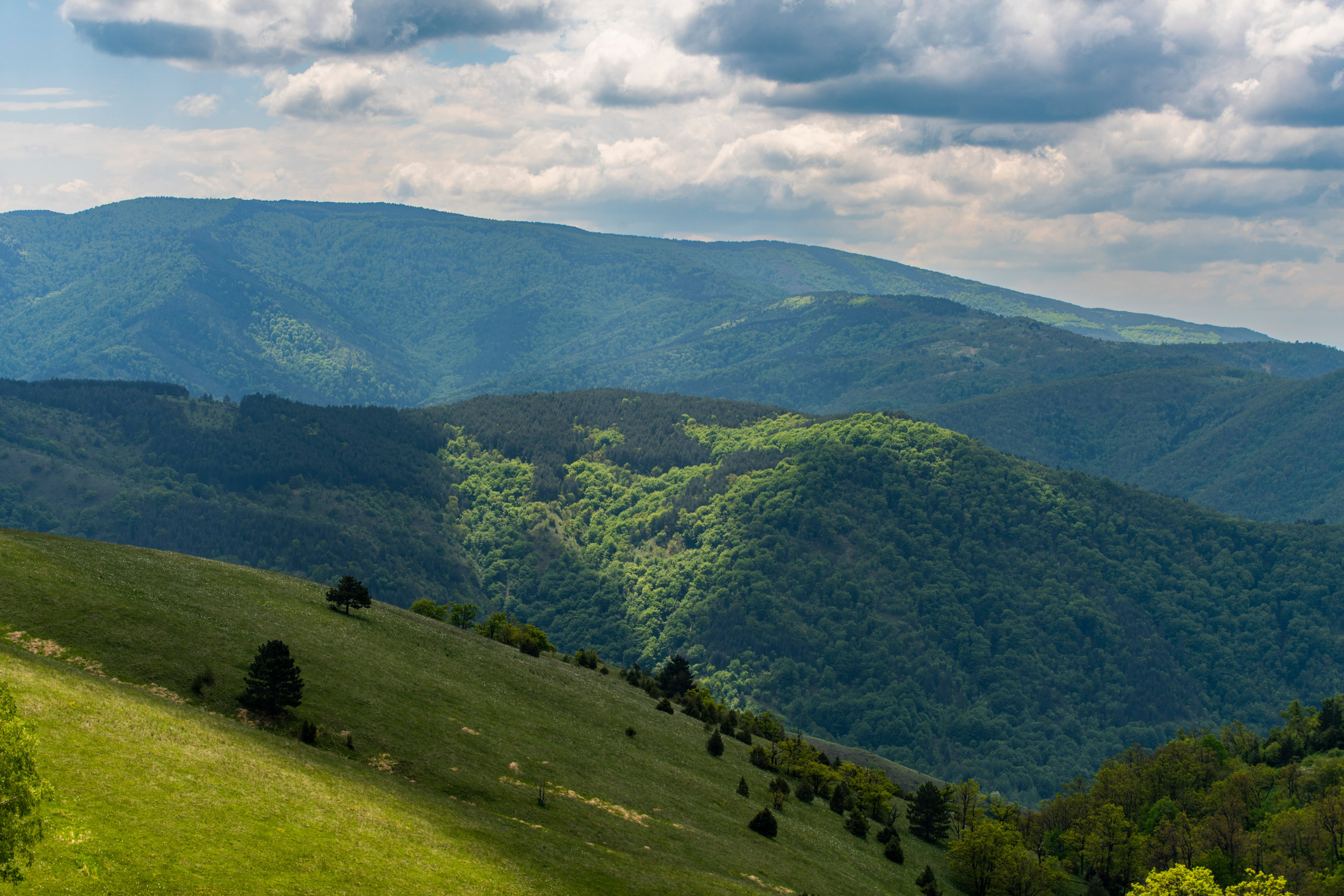 Столови. Сербия. Фотограф в Москве. Шахабудин