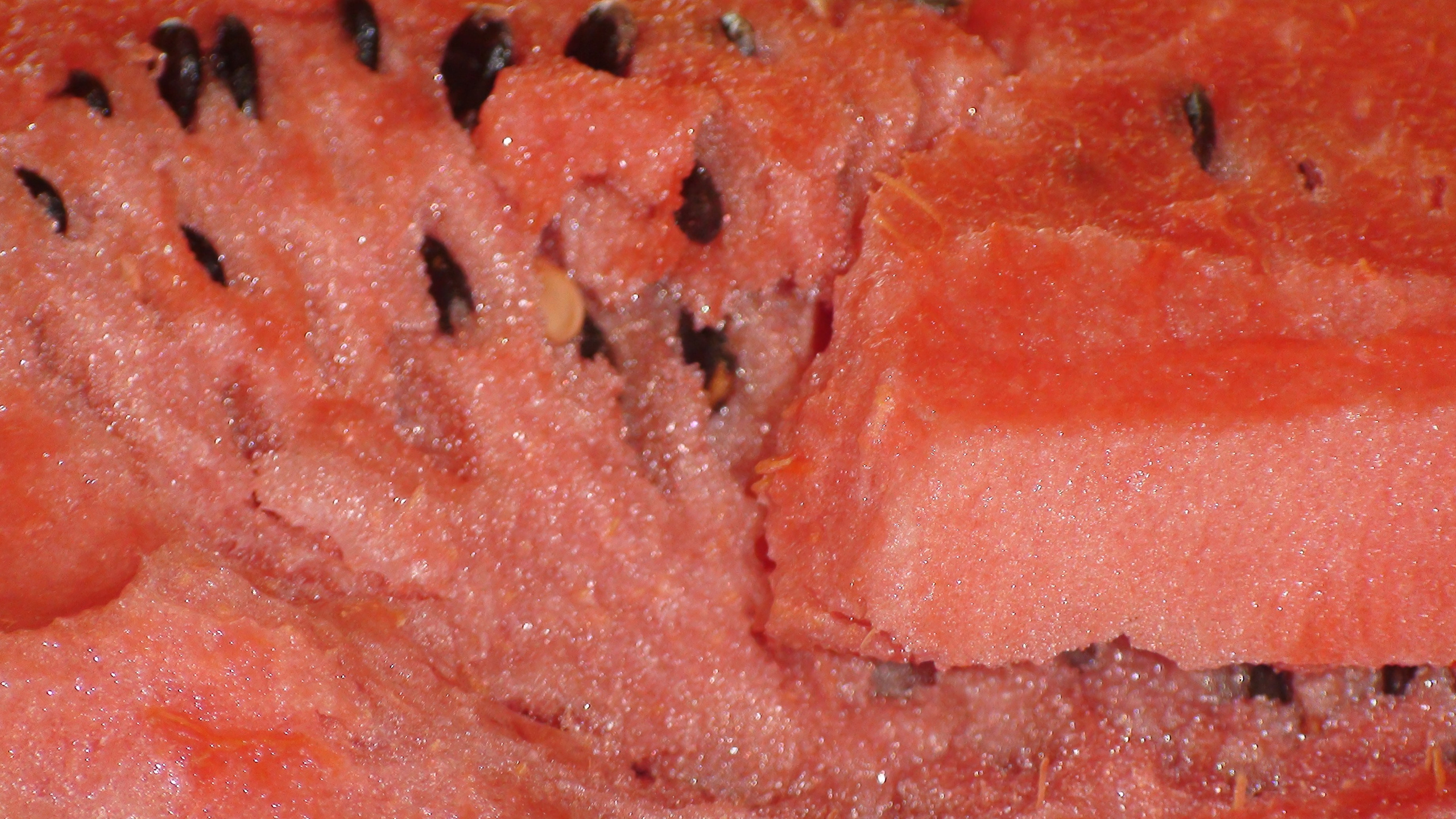 Кабардинка 05-19.07.2013. Семейный, Свадебный фотограф СПБ Питер— Романова Екатерина