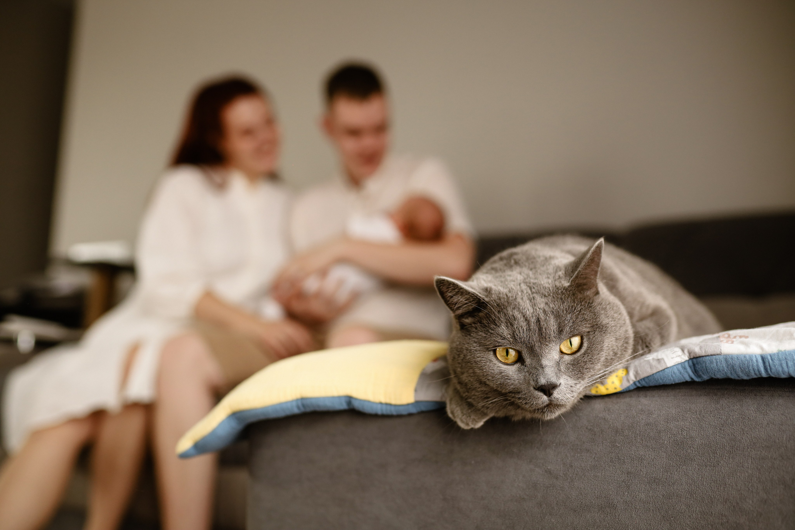 Алена, Илья и Арсений. Инна Вильт| лайфстайл фотограф из Новосибирска