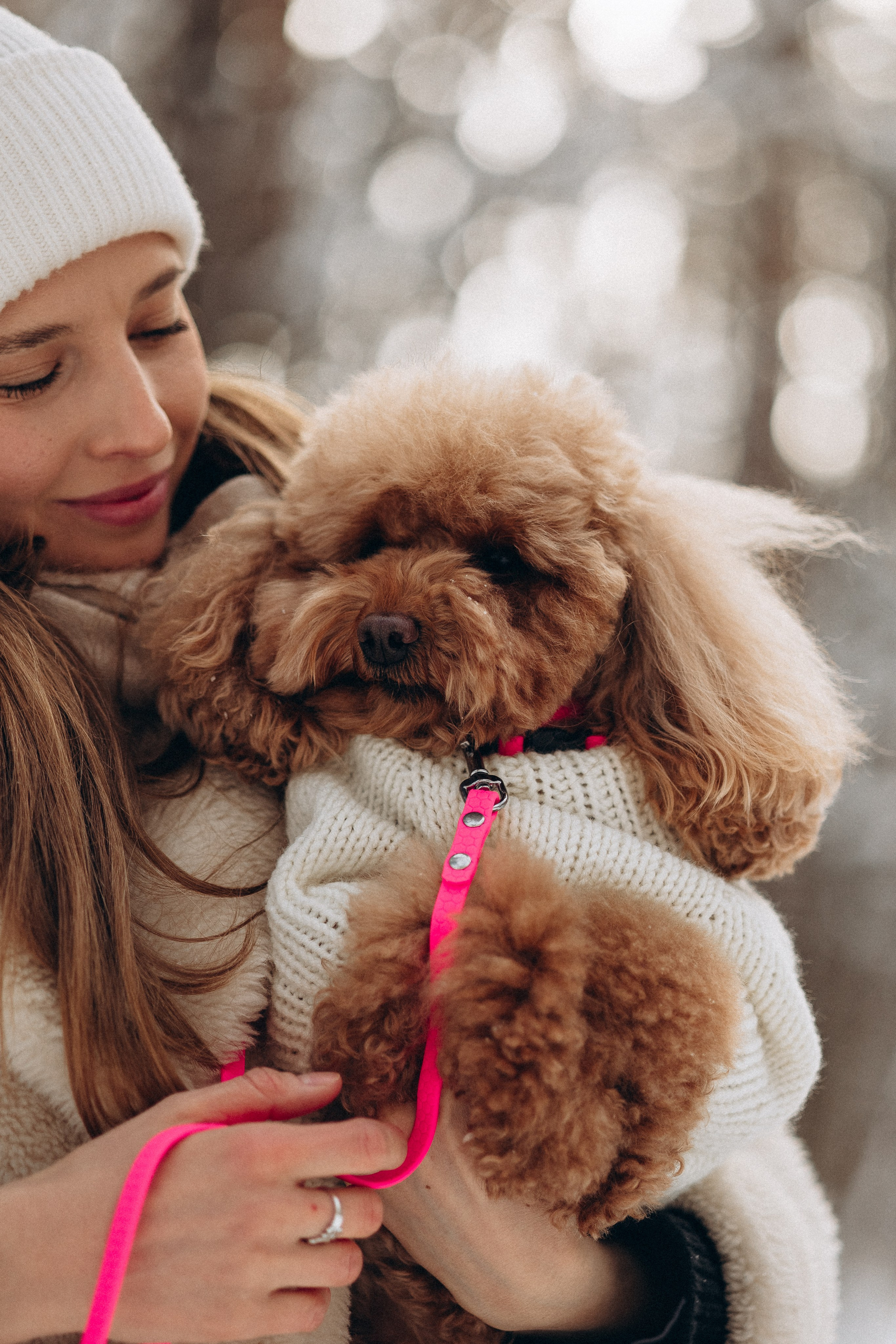 Амуниция «Бобик» 2. Фотораф — анималист Мария Шистка