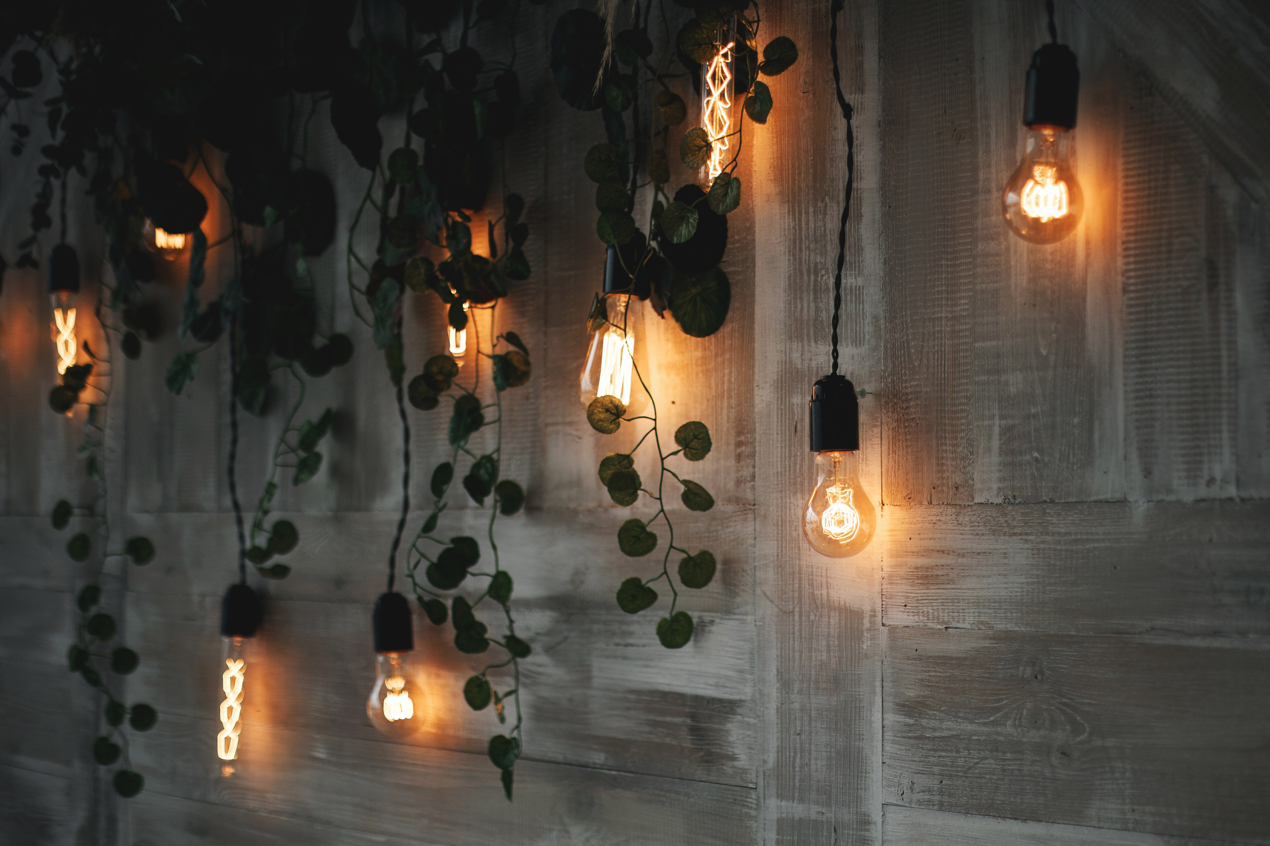 Заур и Анастасия. Свадебный фотограф в Ростове-на-Дону Олег Майер