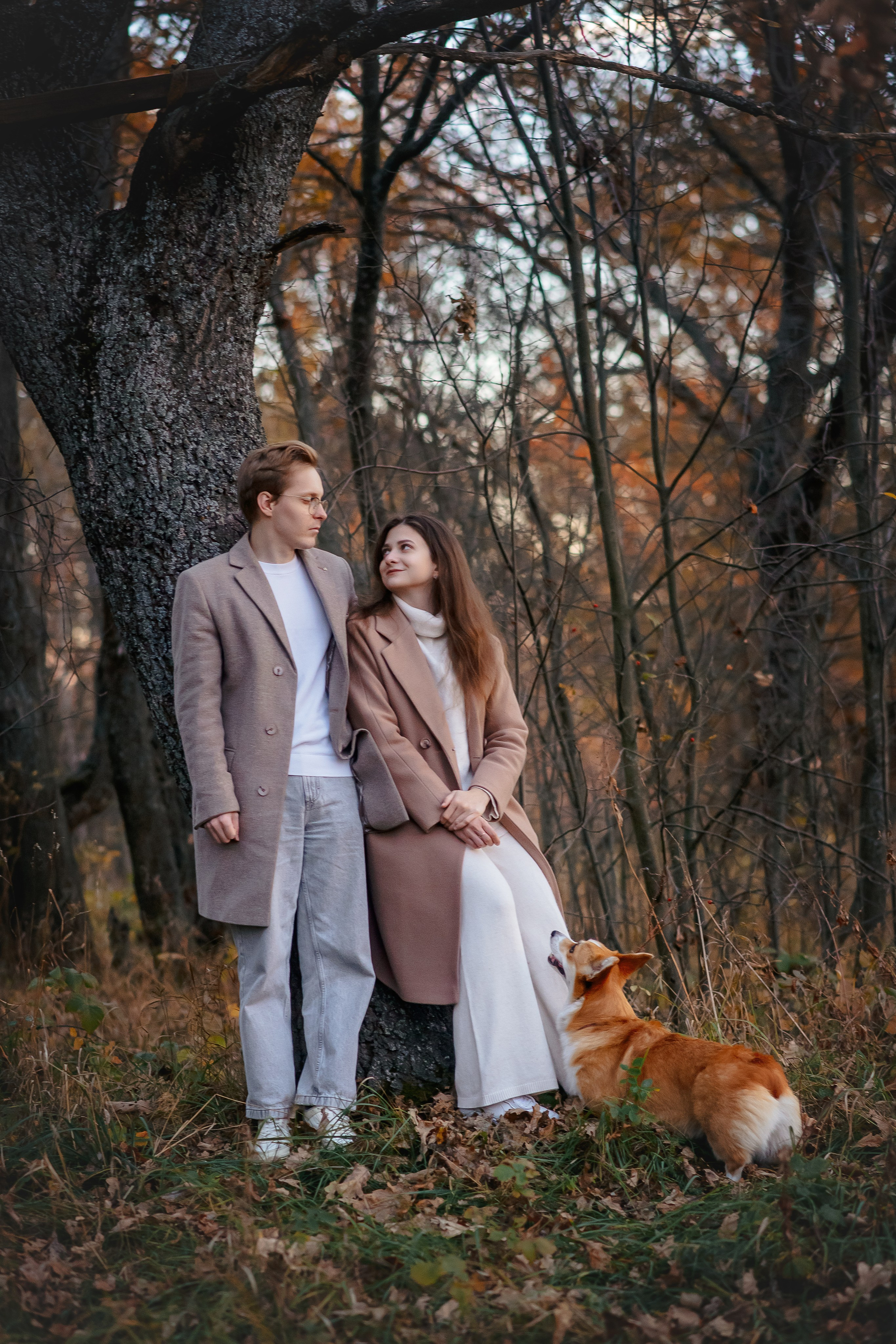 Максим, Аня и Челси — 19.10.2024. Фотограф — Анималист | Анна Абрамова
