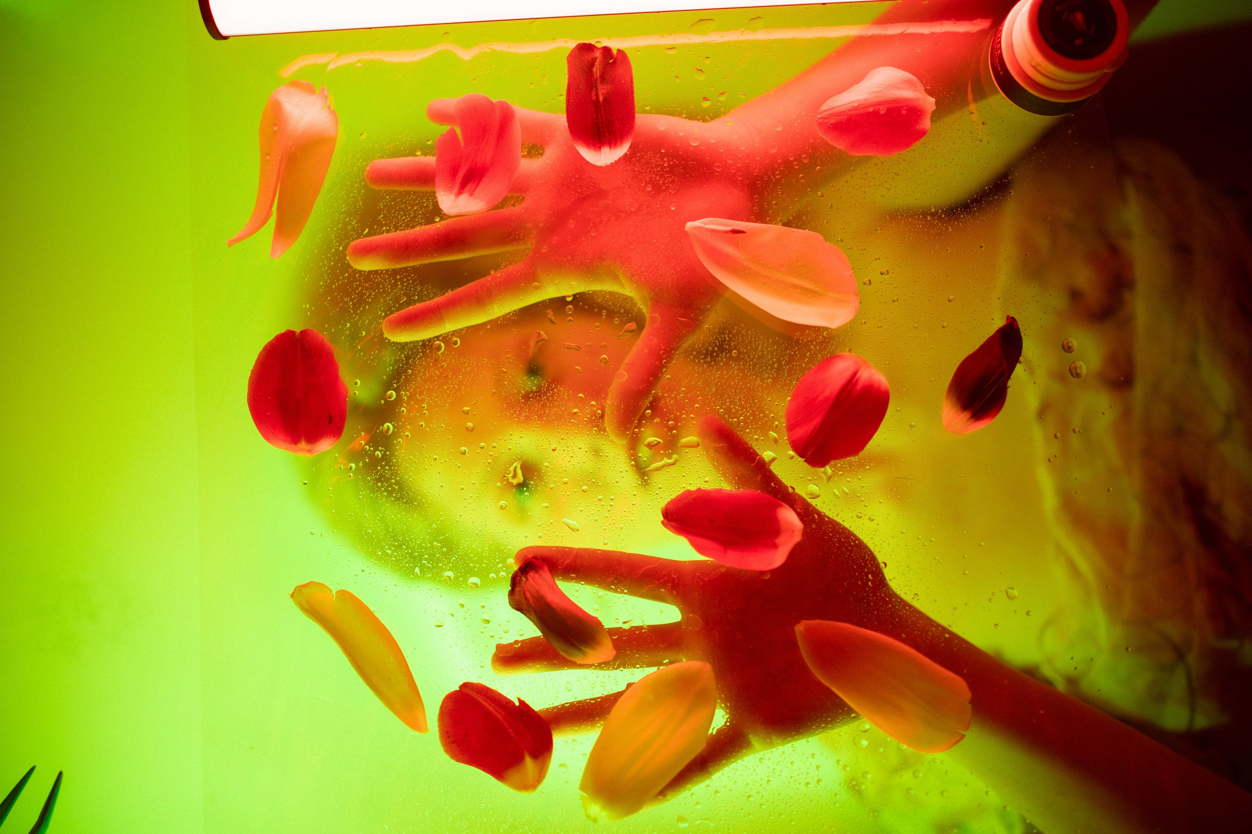 Екатерина. Александра Мельниченко/ Бегающий фотограф