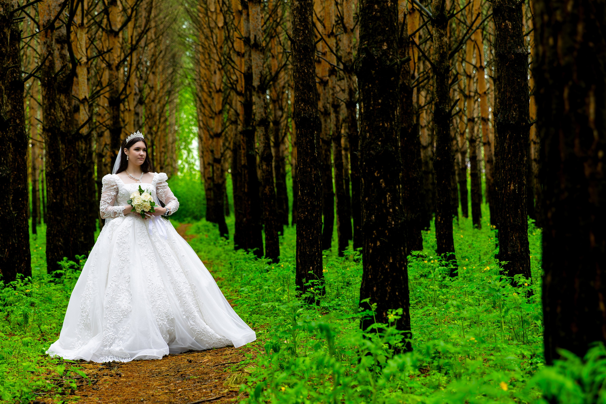 Ангелина и Андрей. Фотограф Александр Поздняков  Новосибирск