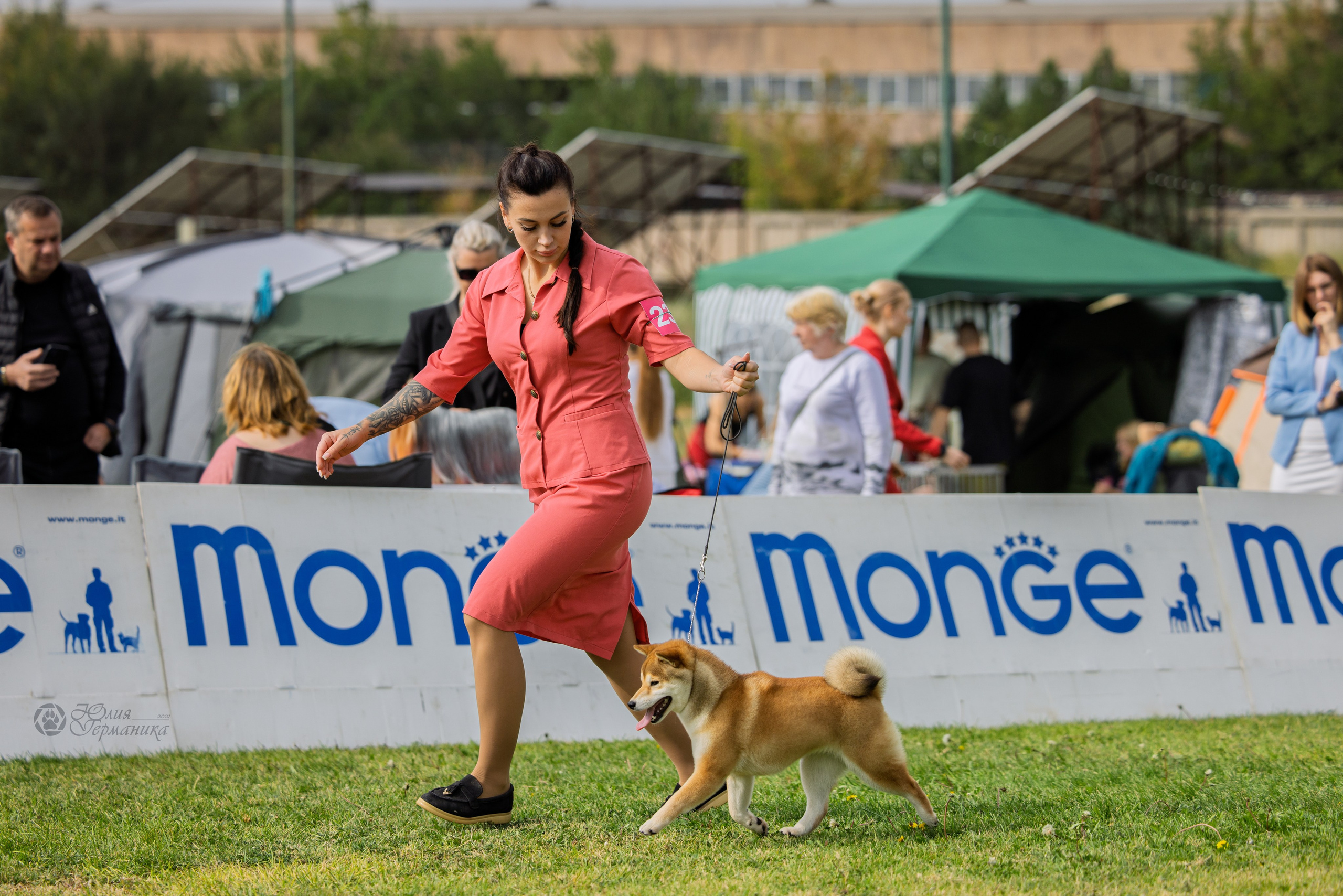 Армения,Ереван 3хCACIB 15-17.10.2024. Фотограф-анималист Юлия Германика